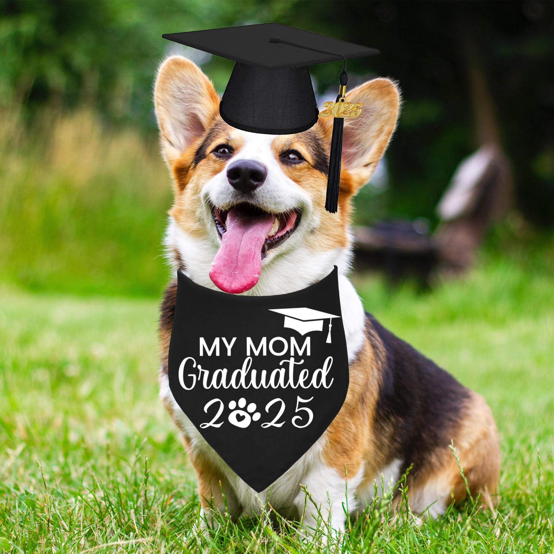 STMK Dog Graduation Cap Bandana, Graduation Dog Cap with 2025 Tassels Dog Graduation Outfits Gifts Graduation Bandana for Small