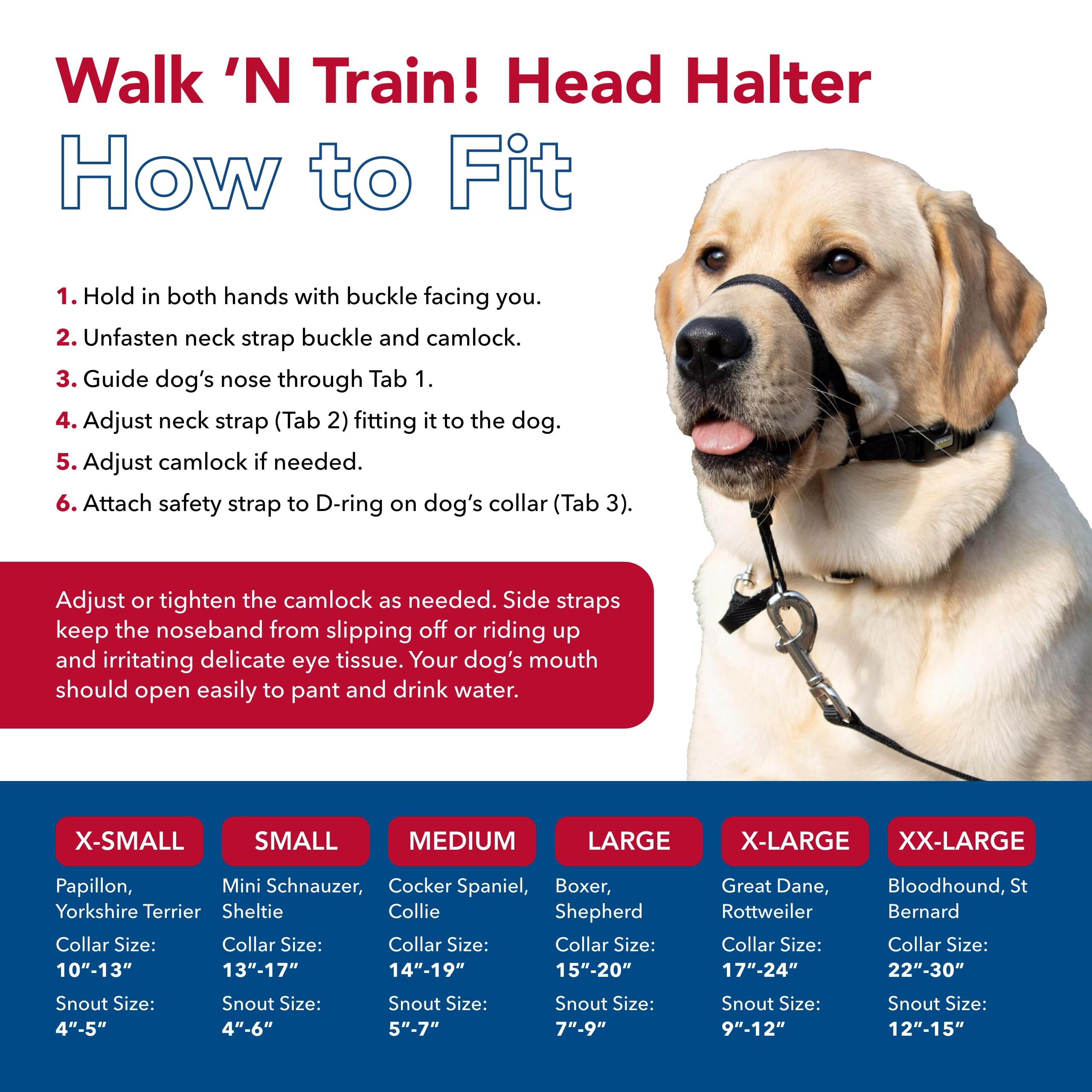 Coastal Pet Walk 'N Train Dog Head Halter - Head Colllar Dog Leader - No-Pull Pet Harness - Quick-Drying Polyester - Black - Medium