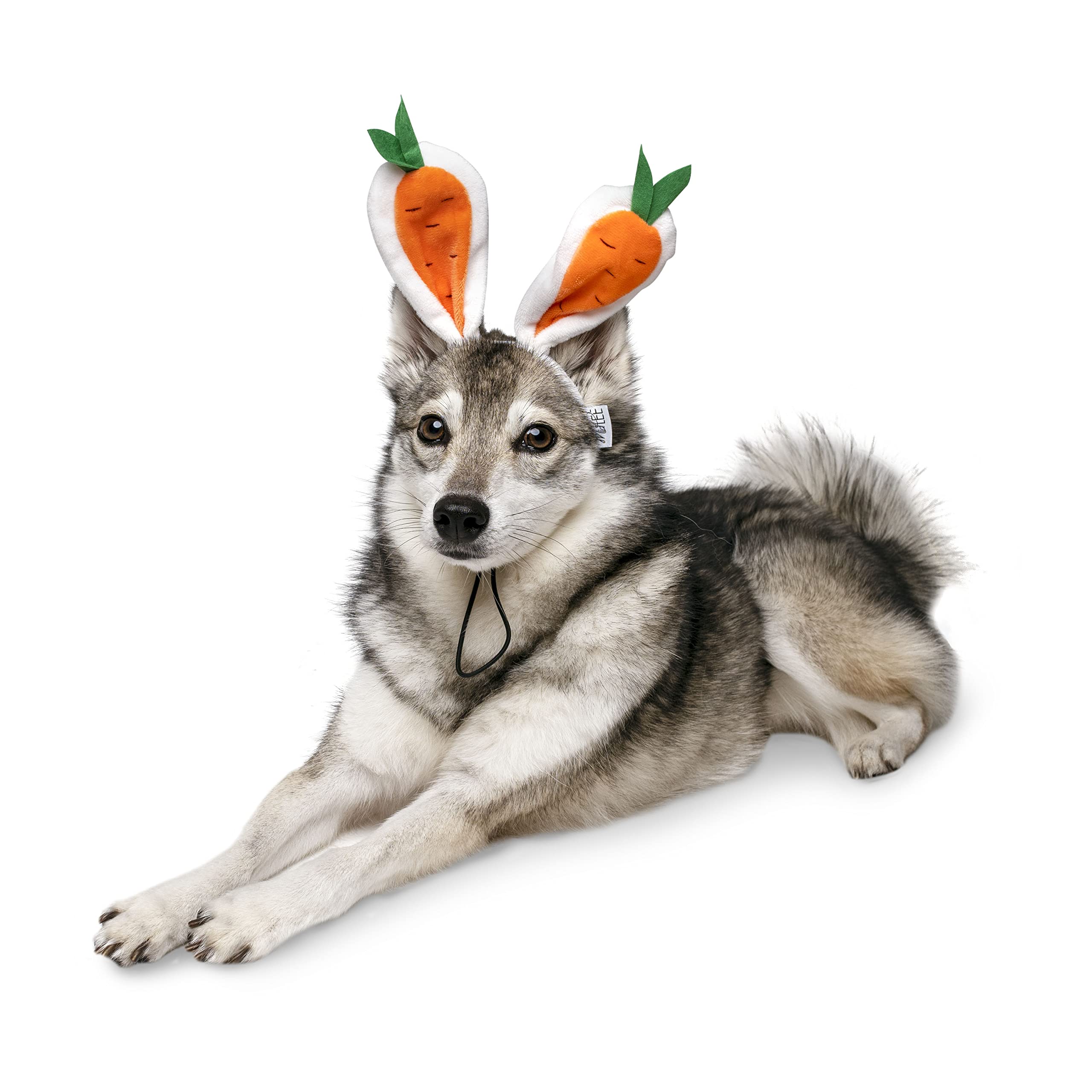 Midlee Carrot Bunny Ears Easter Dog Headband Costume (Large)