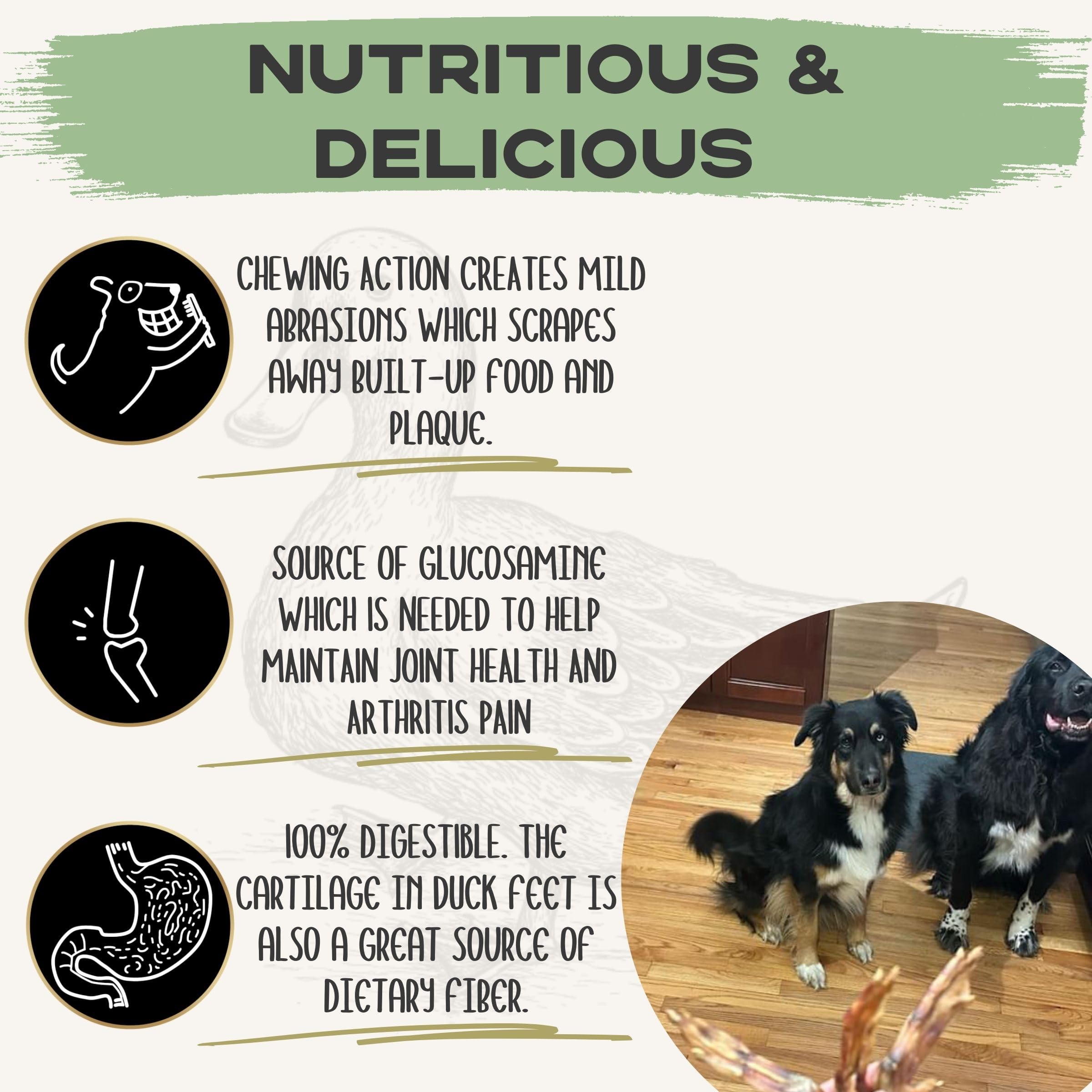 JACKS PREMIUM Dehydrated Duck Feet Dental Dog Treat All Natural Chew Fully Digestible Made in USA - Source of Glucosamine and C
