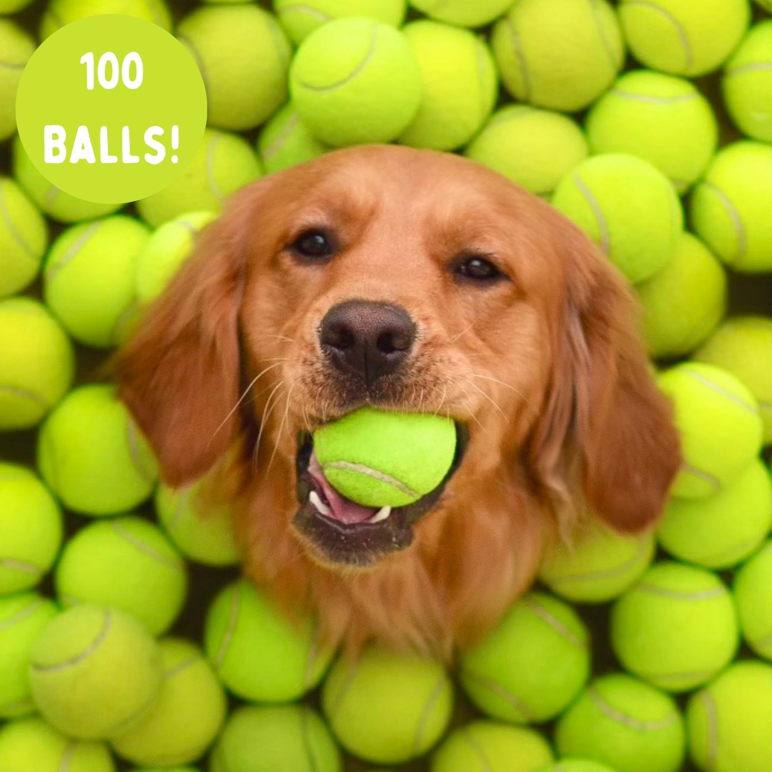 25-100 Bulk Used Tennis Balls For Dogs, Support Usa Tennis Ball Recycling Nonprofit: Bulk Tennis Balls For Dogs, Tennis Balls Fo