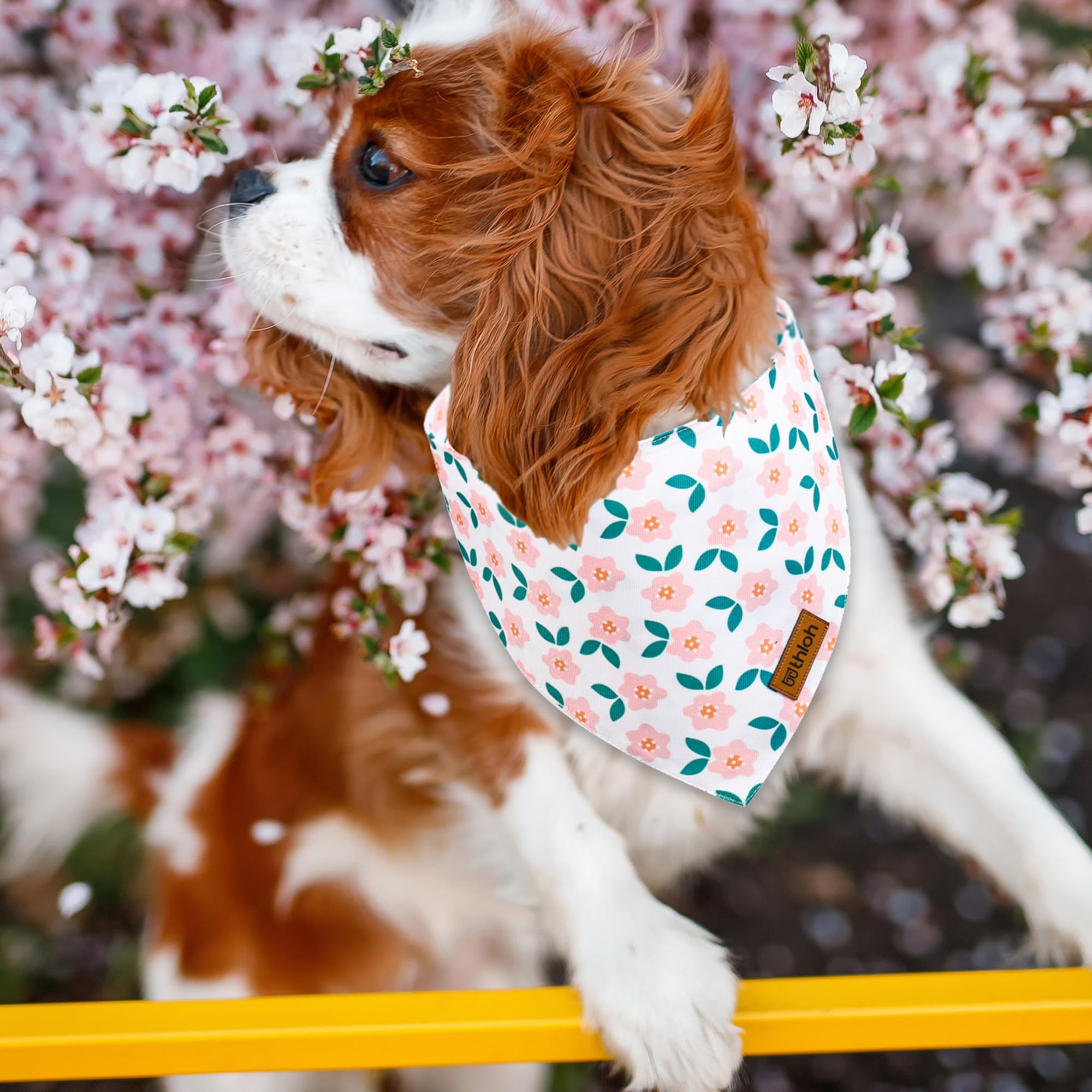 Thloh Spring Dog Bandanas With Snap Button, 2 Pack Floral Dog Scarf For Boy & Girl, Durable Fabric, Adjustable Fit, Unique Shape
