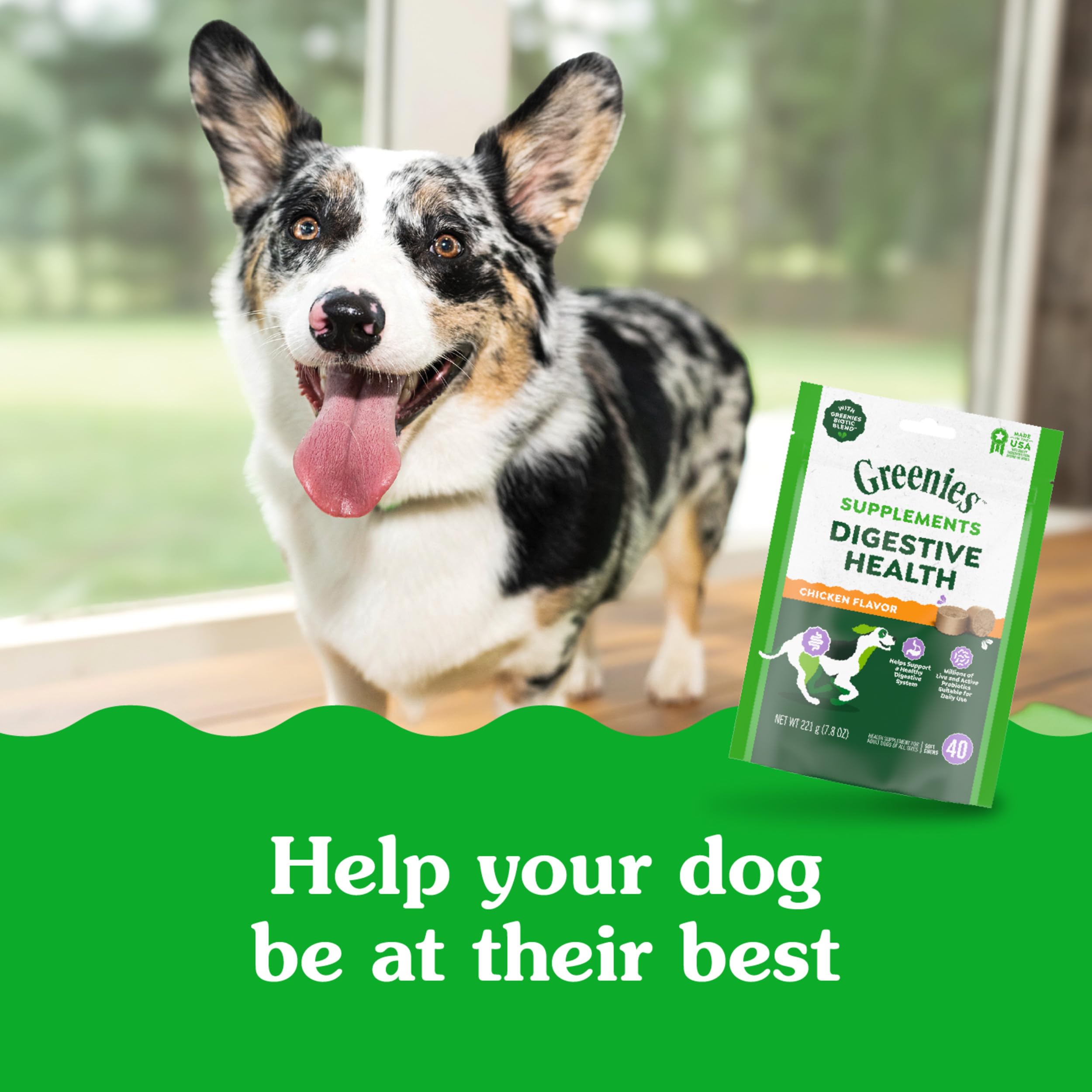 Greenies Supplements Digestive Health Probiotics for Dogs Chicken Flavor, 7.8 oz. Pouch of 40 ct.
