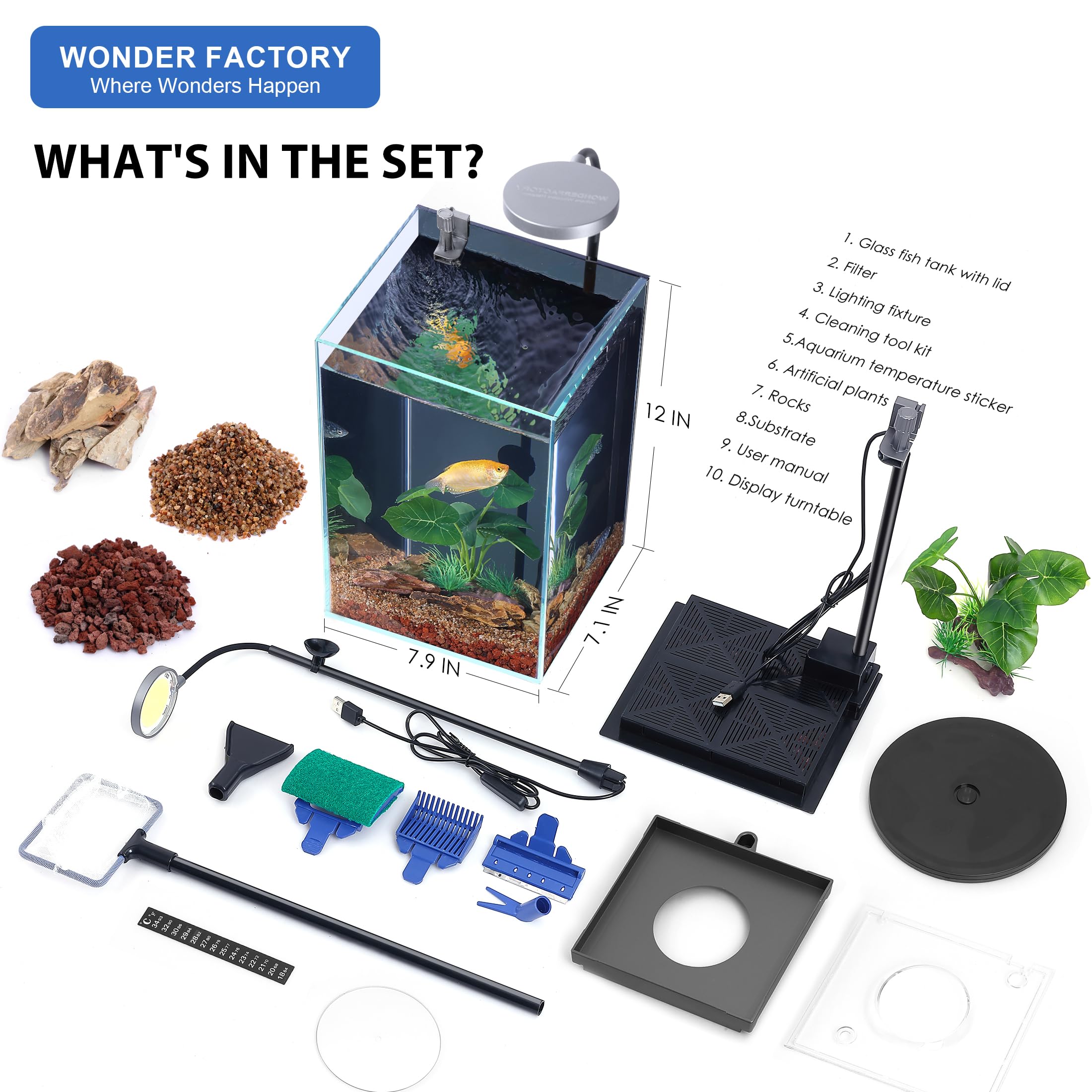 2.6 Gallon Small Aquarium, Glass Tall Desktop Betta Fish Tank AIO Starter Kit, Self Cleaning Hidden Filtration Bottom Filter wit