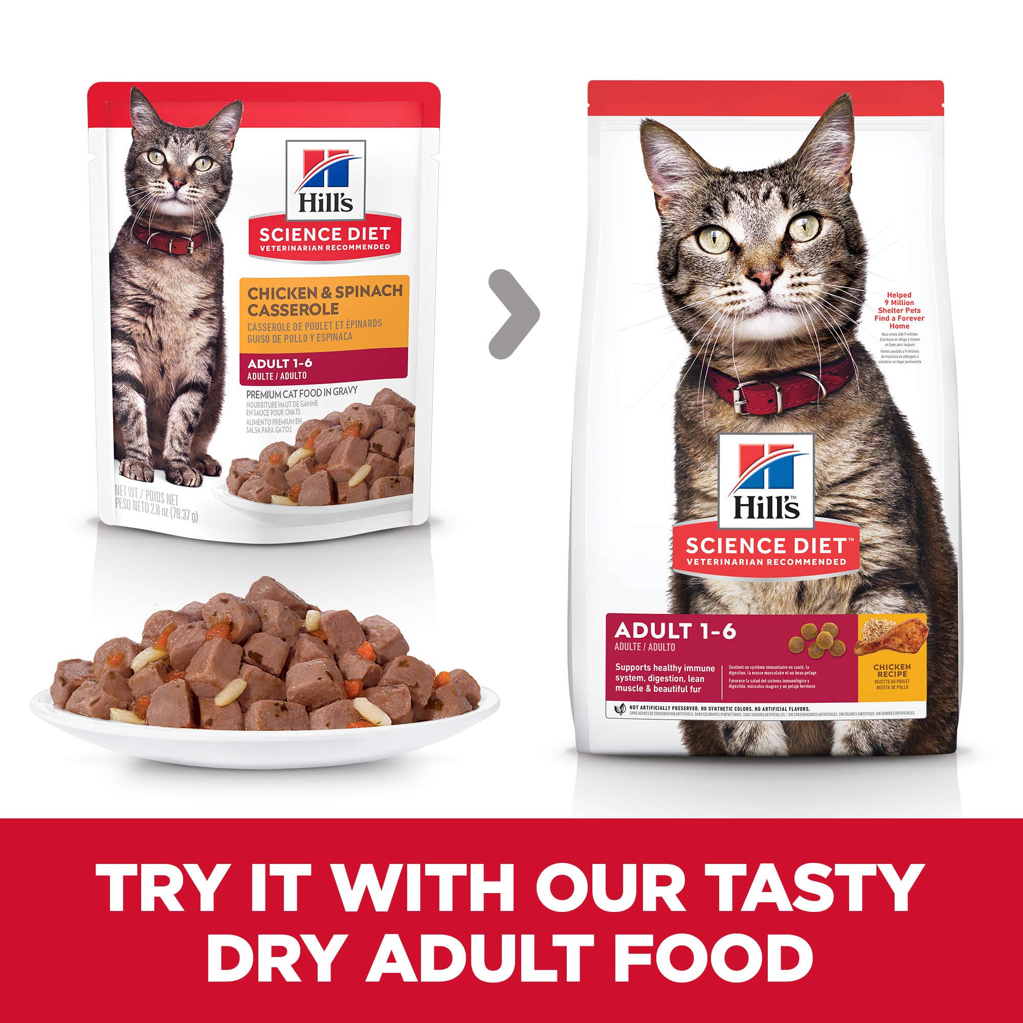 Hills Science Diet Adult 1-6, Adult 1-6 Premium Nutrition, Wet Cat Food, Chicken Casserole Stew, 2.8 oz Pouch, Case of 24