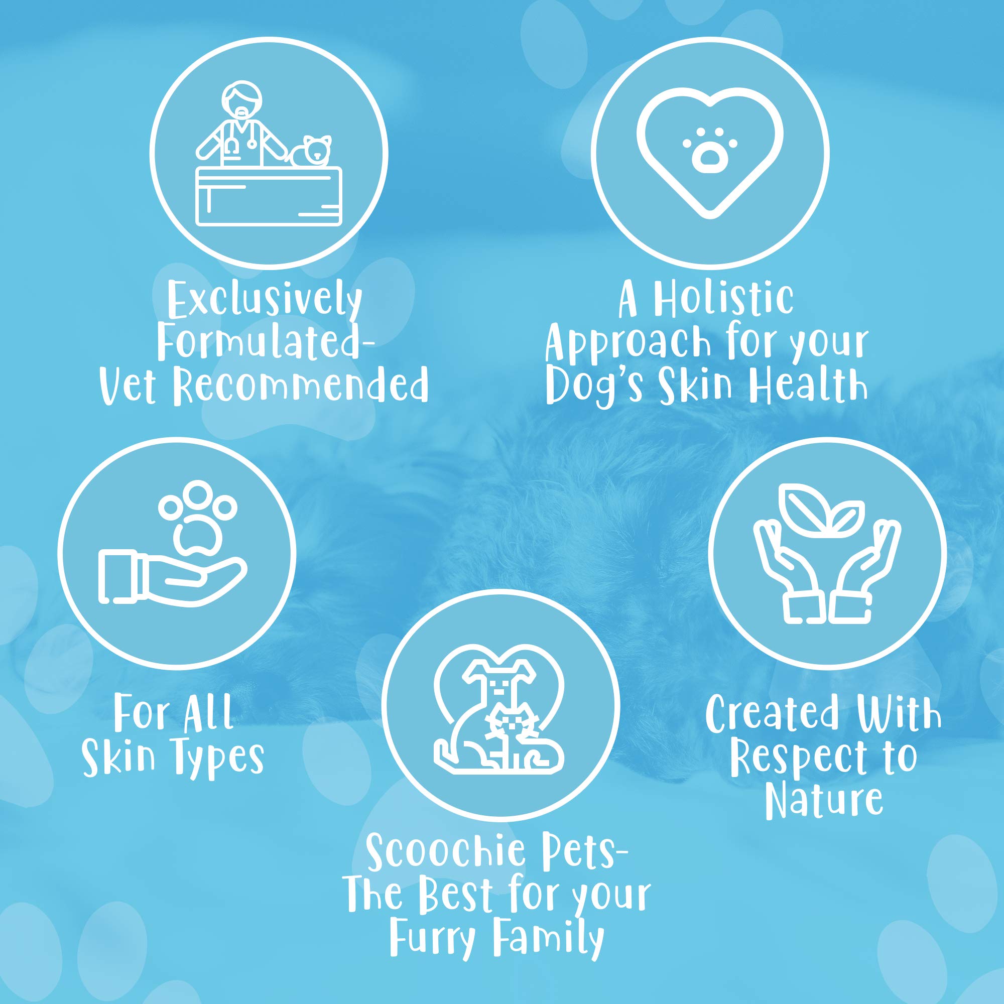 Scoochie Pets Dog Shampoo & Conditioner| Skin Soothing, Ph Balanced| Deodorizing, Moisturizing & Detangling Action| Hypoallergenic & Veterinarian Recommended Pet Grooming (Coconut - Oatmeal & Aloe)