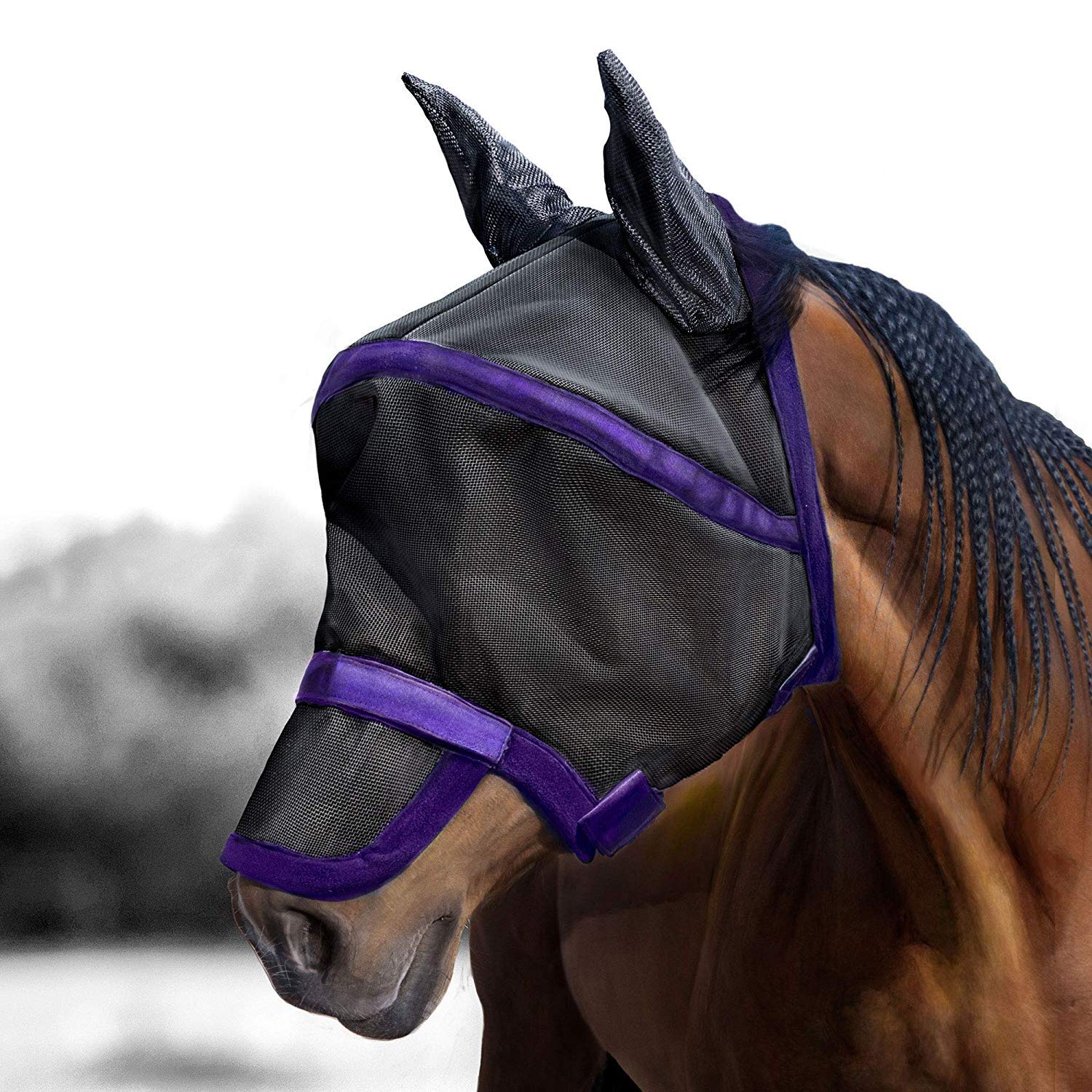 Harrison Howard Maskology Supreme Horse Fly Mask Stellar UV Protection with Detachable Nose Cover Well-Received 2-in-1 Mask Purp