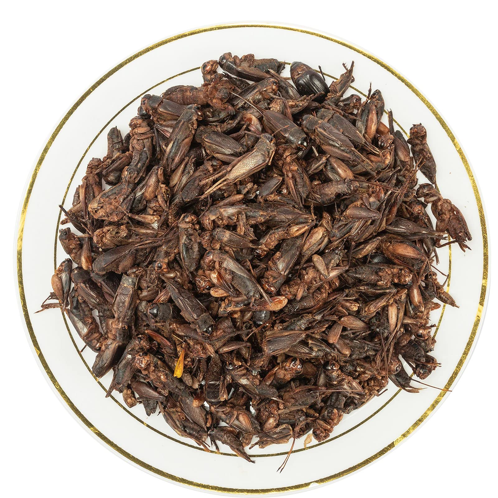 Amzey Appetizing Mealworms Natural Dried Crickets - Food for Bearded Dragons, Wild Birds, Chickens, Fish - (8 oz Resealable Bag)