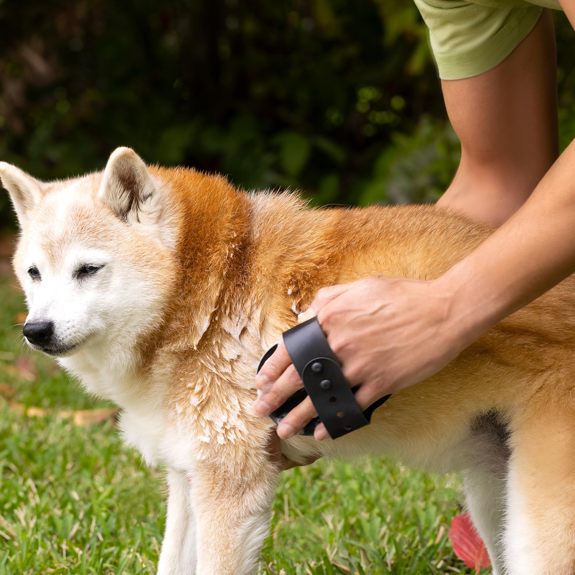 Rosen Apothecary 6-In-1 Moisturizing Dog Shampoo With Brush, Made With Naturally Derived Ingredients To Cleanse, Soothe, Deodori