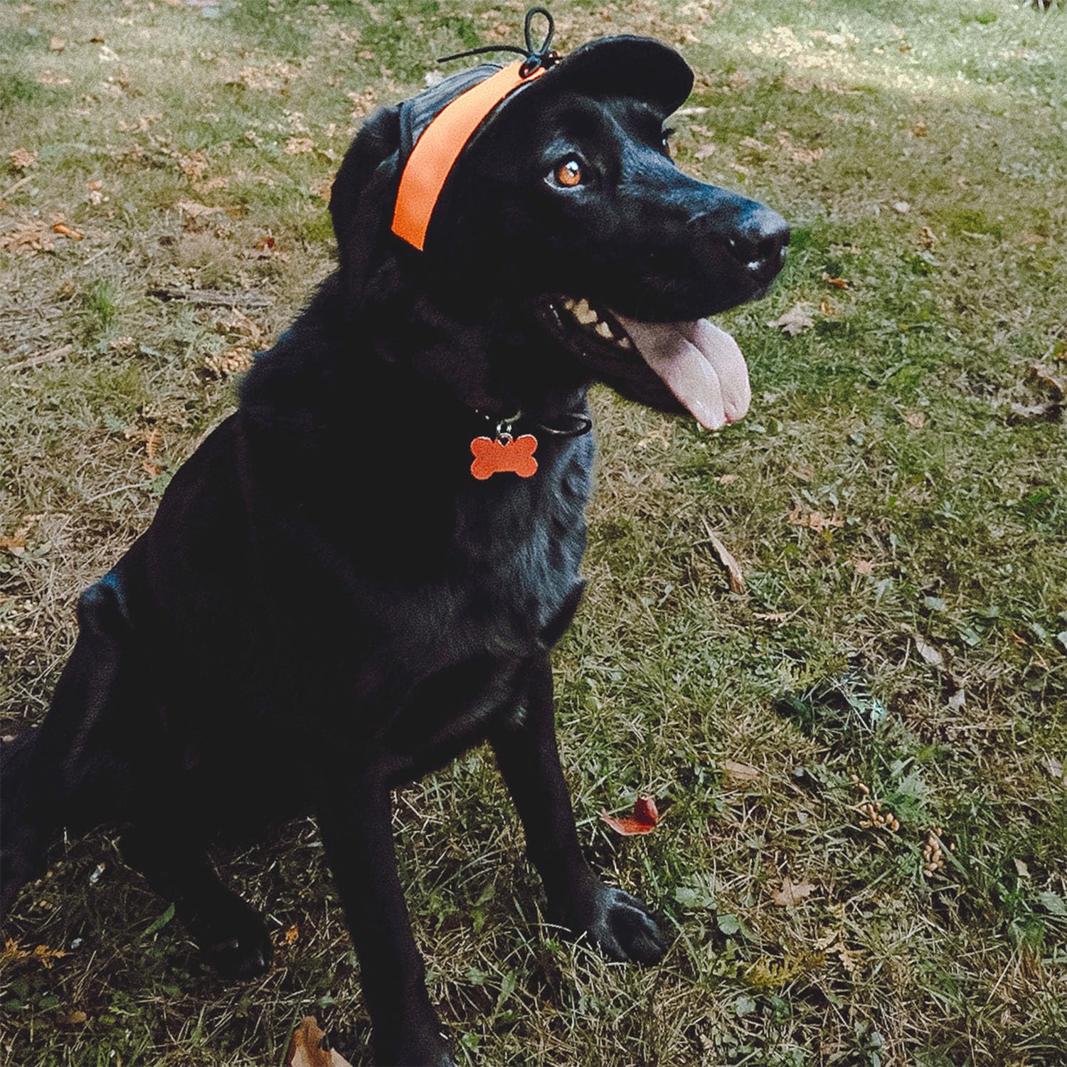Stormy Kromer Critter Kromer For Her, Treestand/Orange, Small