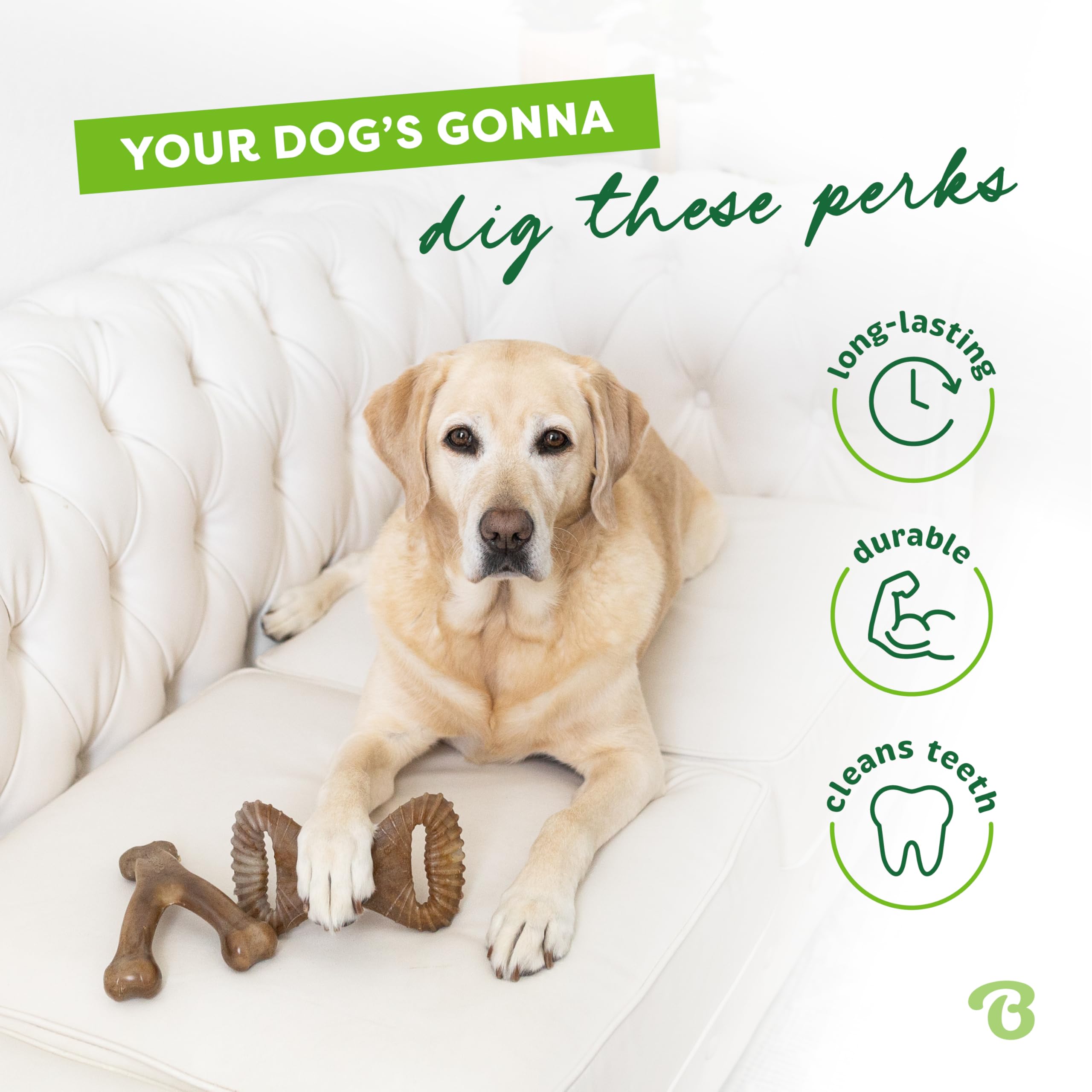 Benebone 2 Count (Pack Of 1) Wishbone/Dental Durable Dog Chew Toys, Real Bacon, Made In Usa, Small