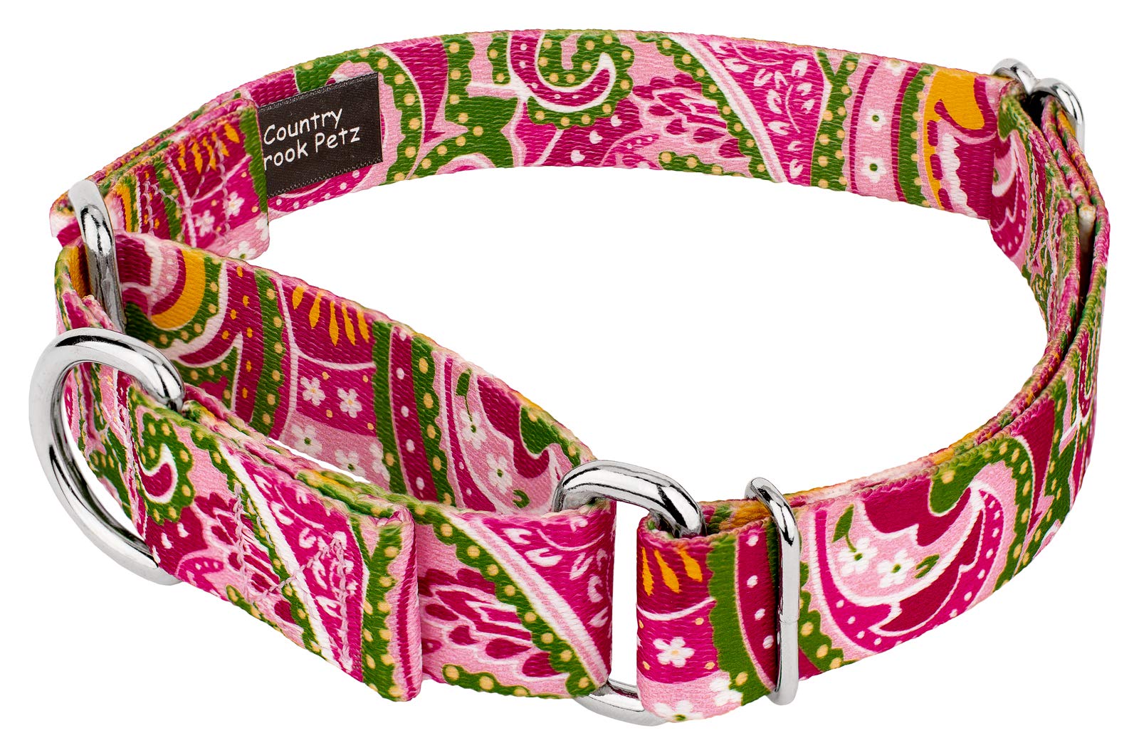 Country Brook Petz - Pink Paisley Martingale Dog Collar And Leash - Paisley Collection Featuring Classy Designs (1 Inch, Medium)