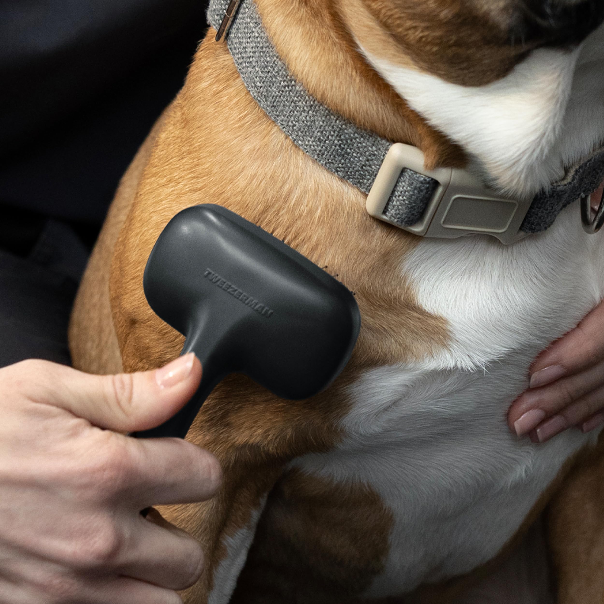 Tweezerman Dog And Cat Slicker Brush For Small Pets, Grooming Brush With Coated Bristles To Prevent Scratching And Ergonomic Han