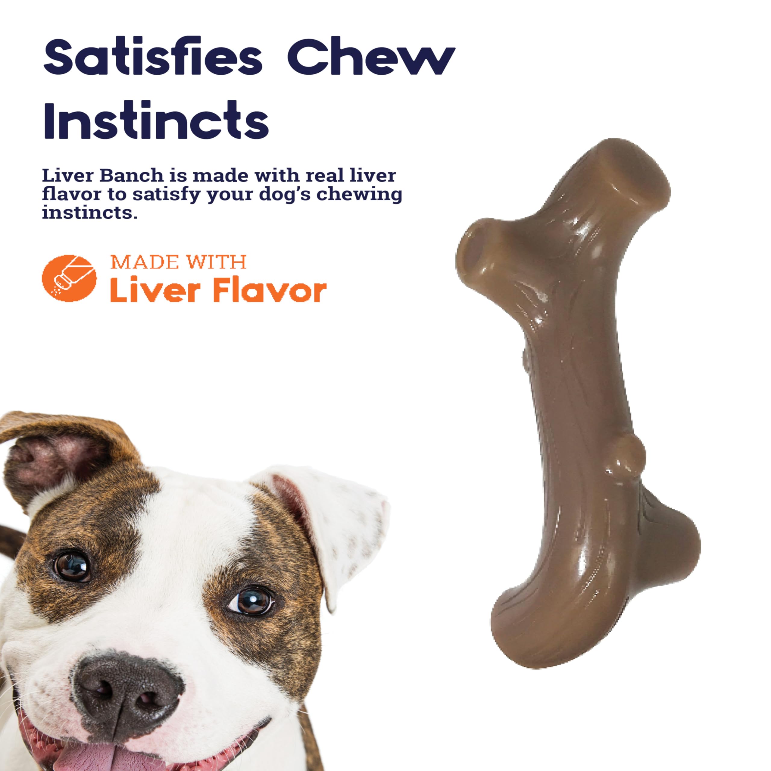Petstages Dog Chew Toys - Safe And Long Lasting Chewable Sticks - Tough Alternative Chewing Sticks For Dogs
