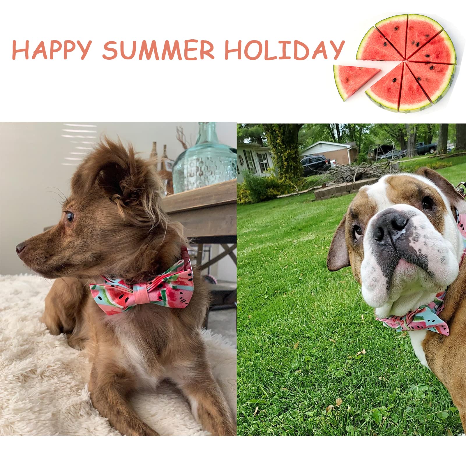 Unique Style Paws Bowtie Dog Collar Cotton Watermelon Collar Adjustable Summer Collar For Small Medium Large Dogs - L