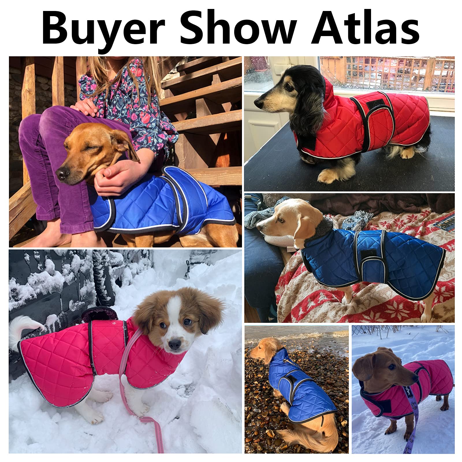 Warm Thermal Quilted Dachshund Coat, Dog Winter Coat With Warm Fleece Lining, Outdoor Dog Apparel With Adjustable Bands For Medium, Large Dog-Pink-M