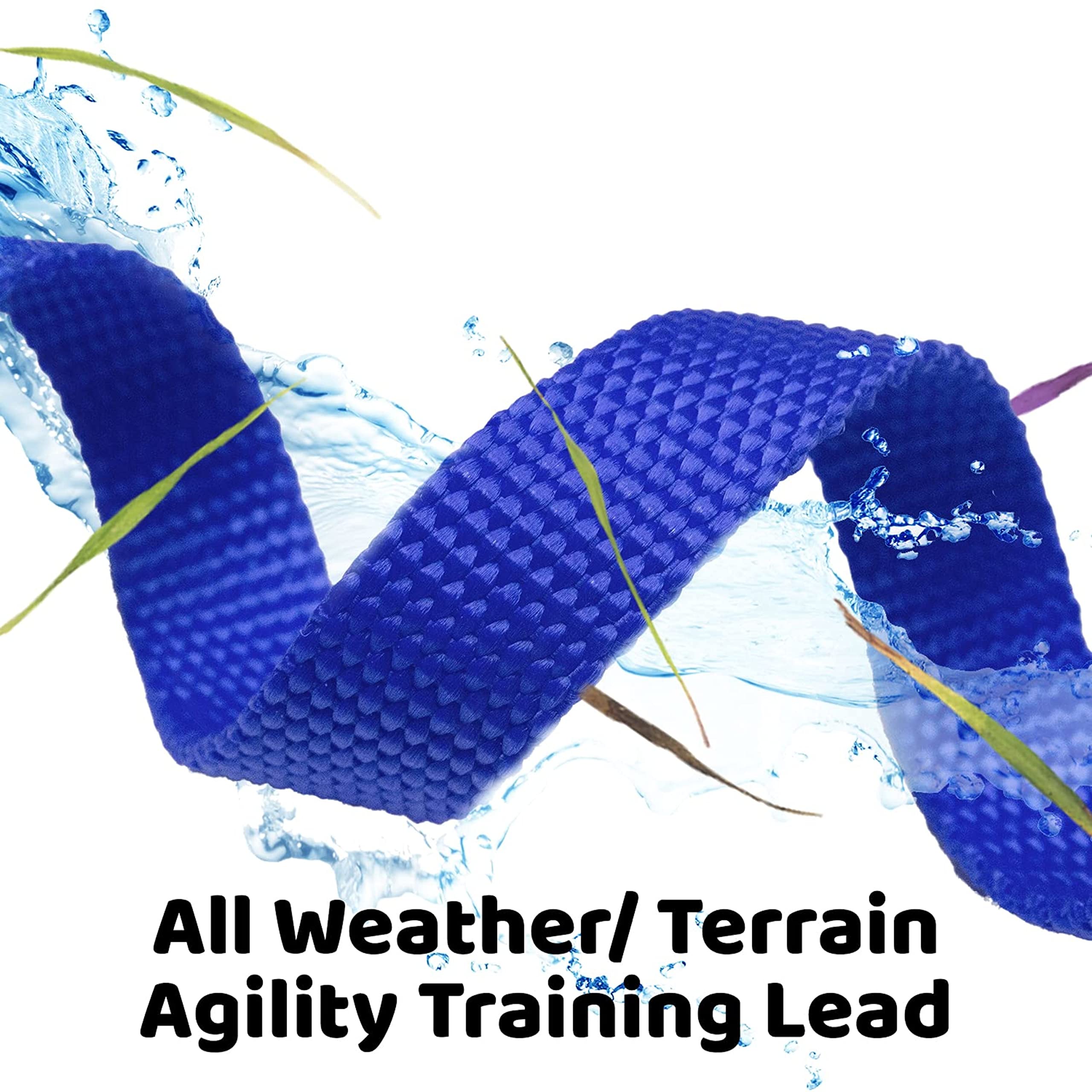 Long Dog Puppy Obedience Recall Training Agility Lead, Leash - BLUE, 15 Foot - by, Downtown Pet Supply
