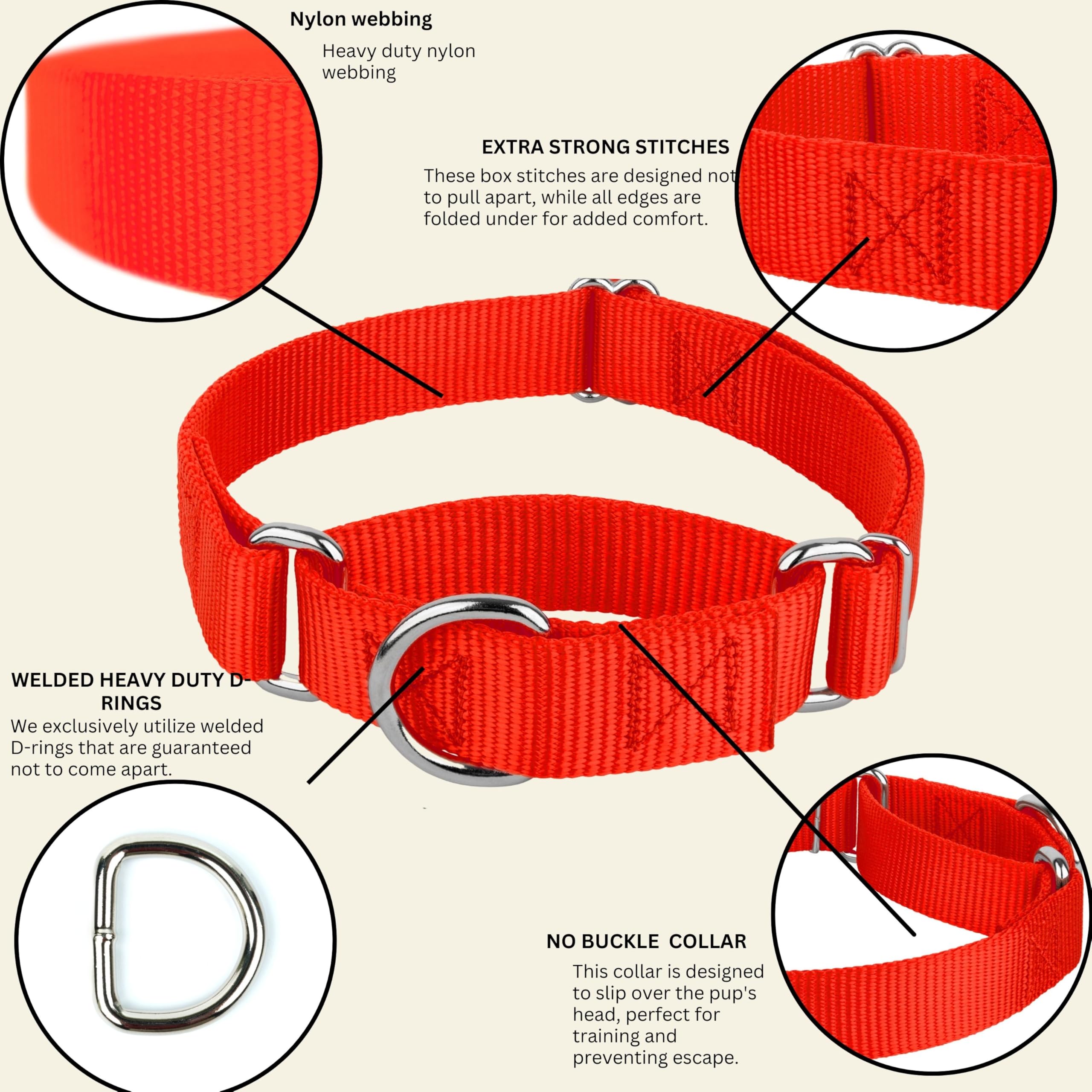 Country Brook Design - Hot Orange Martingale Heavy Duty Nylon Dog Collar - 21 Vibrant Color Options (1 Inch Width, Medium)