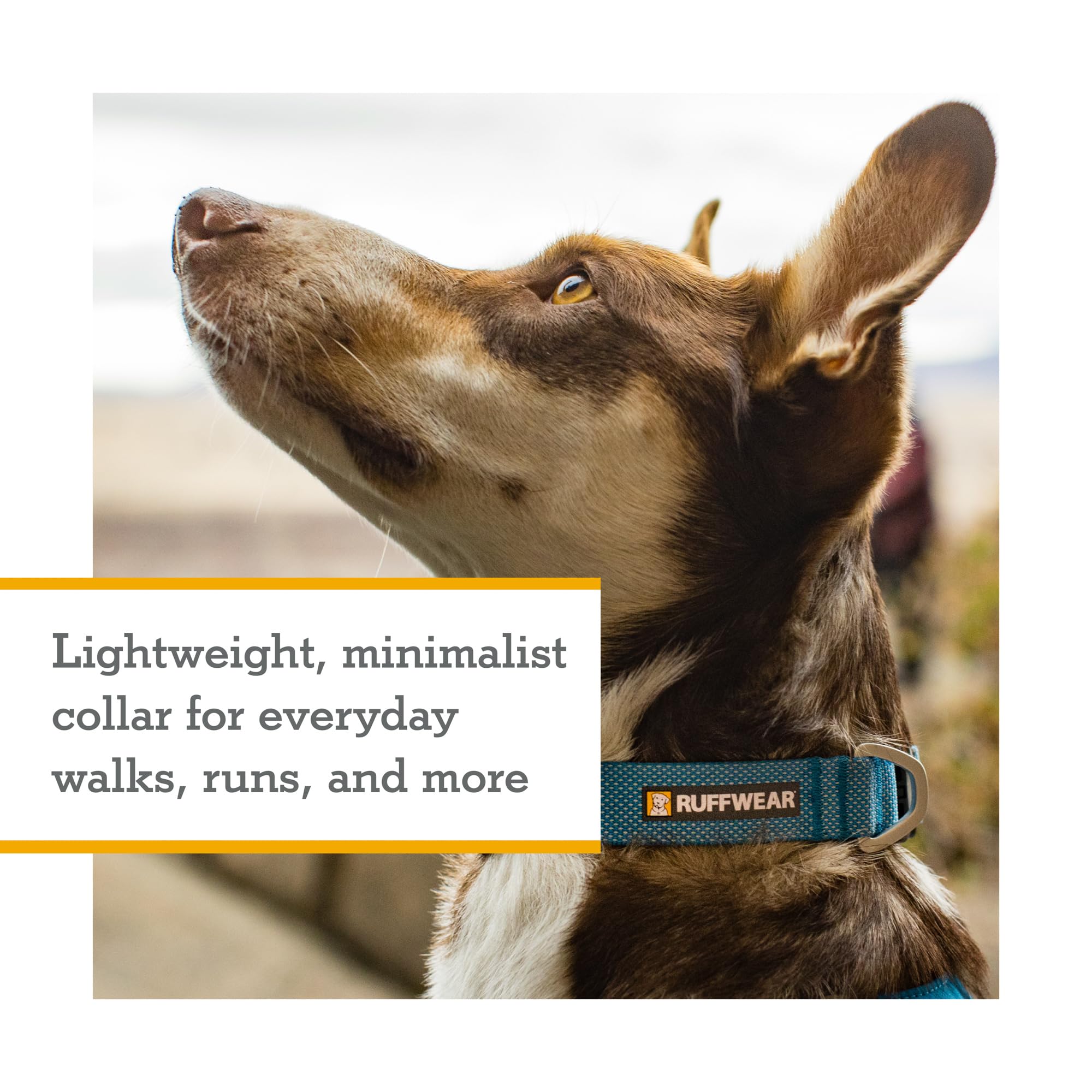 Ruffwear, Hi & Light Dog Collar, Minimal And Ultralight Collar For Everyday Walks And Runs, Basalt Gray, 11''-14''