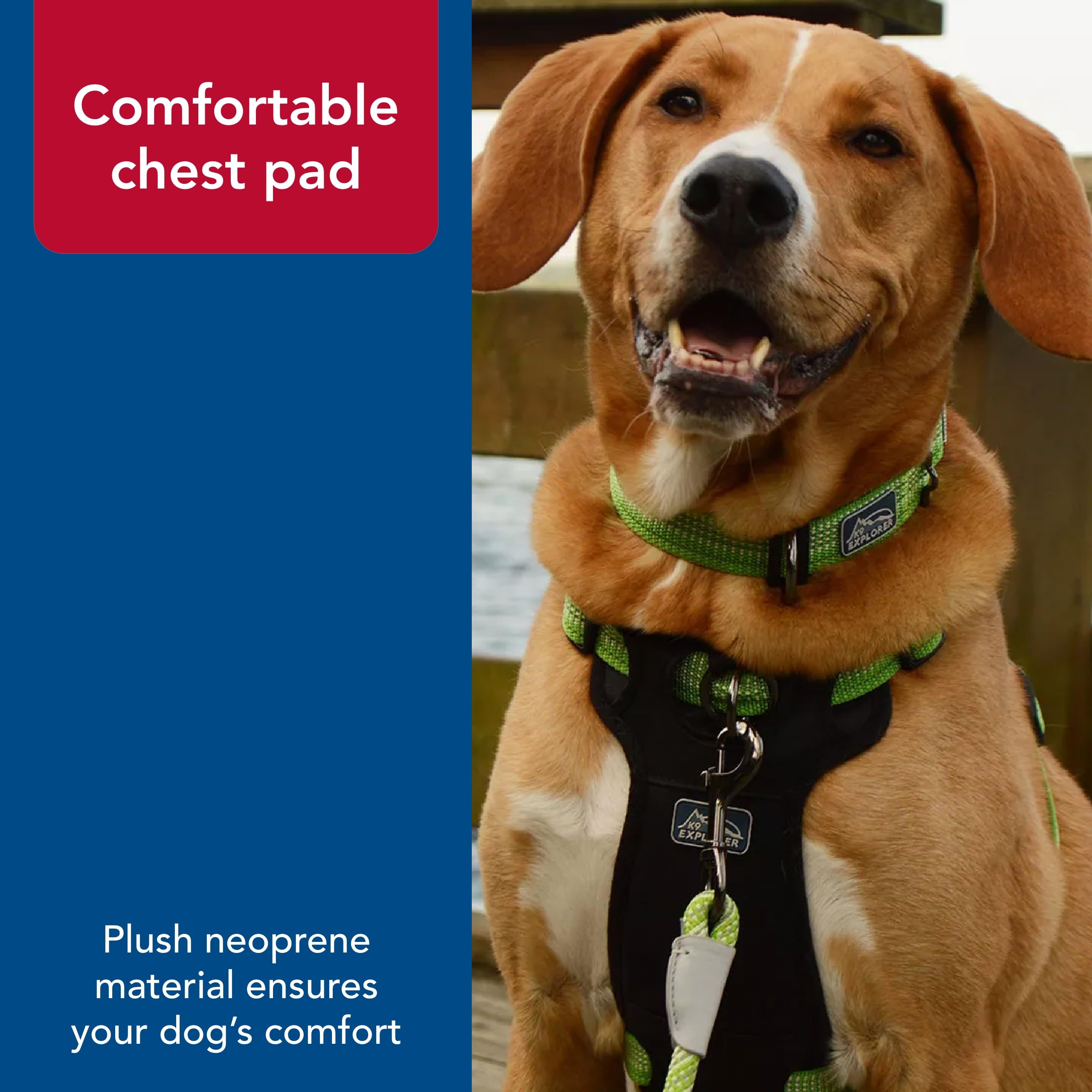 Coastal - K-9 Explorer - Brights Reflective Front-Connect Harness, Mountain, 1'' X 26''-38''