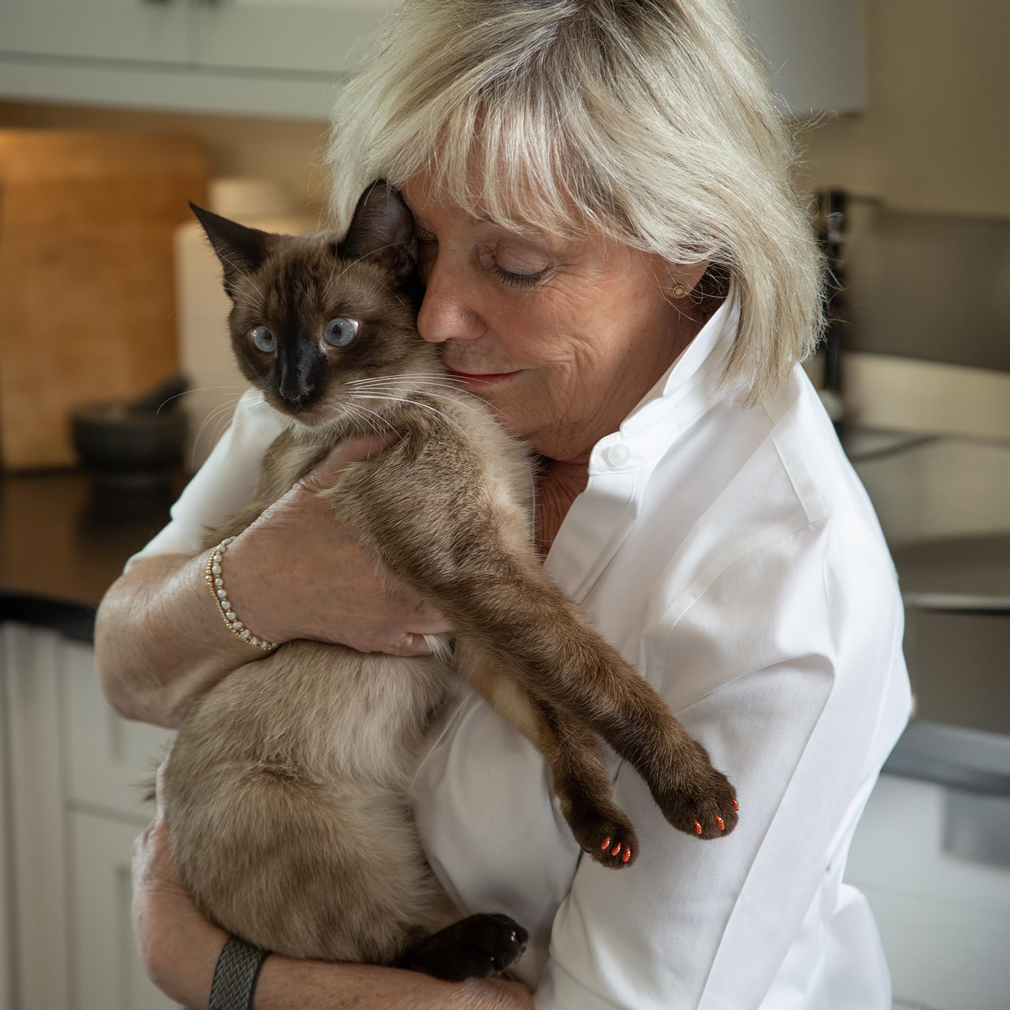 Soft Claws Safe Scratch-Free Solution For Cats - Cls (Cleat Lock System), Size: Medium, Color: Black