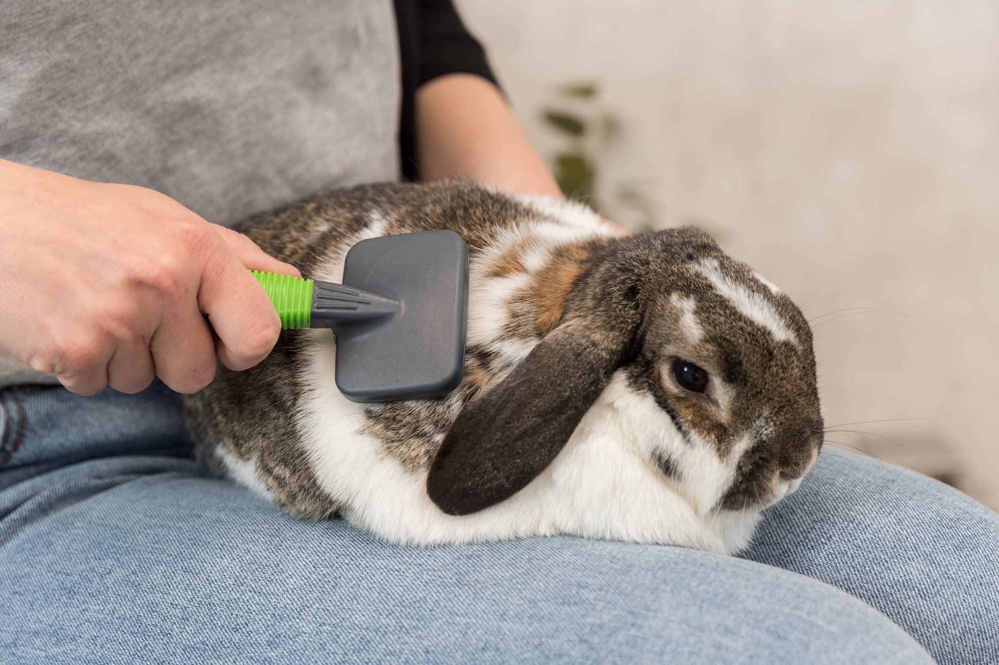 Trixie Pet Grooming Soft Brush & Comb Set For Puppies, Kittens, And Small Animals