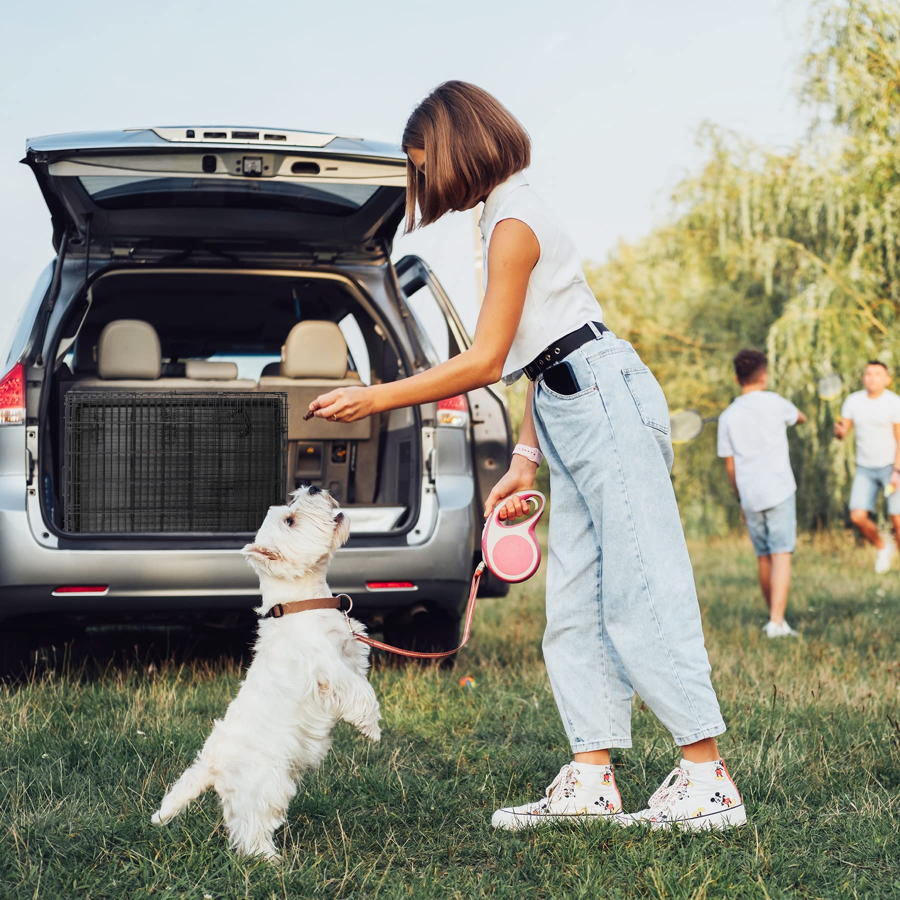 Zeny 30/36/42 Inch Dog Crate Double Door Folding Metal Dog Or Pet Crate Kennel With Tray And Handle