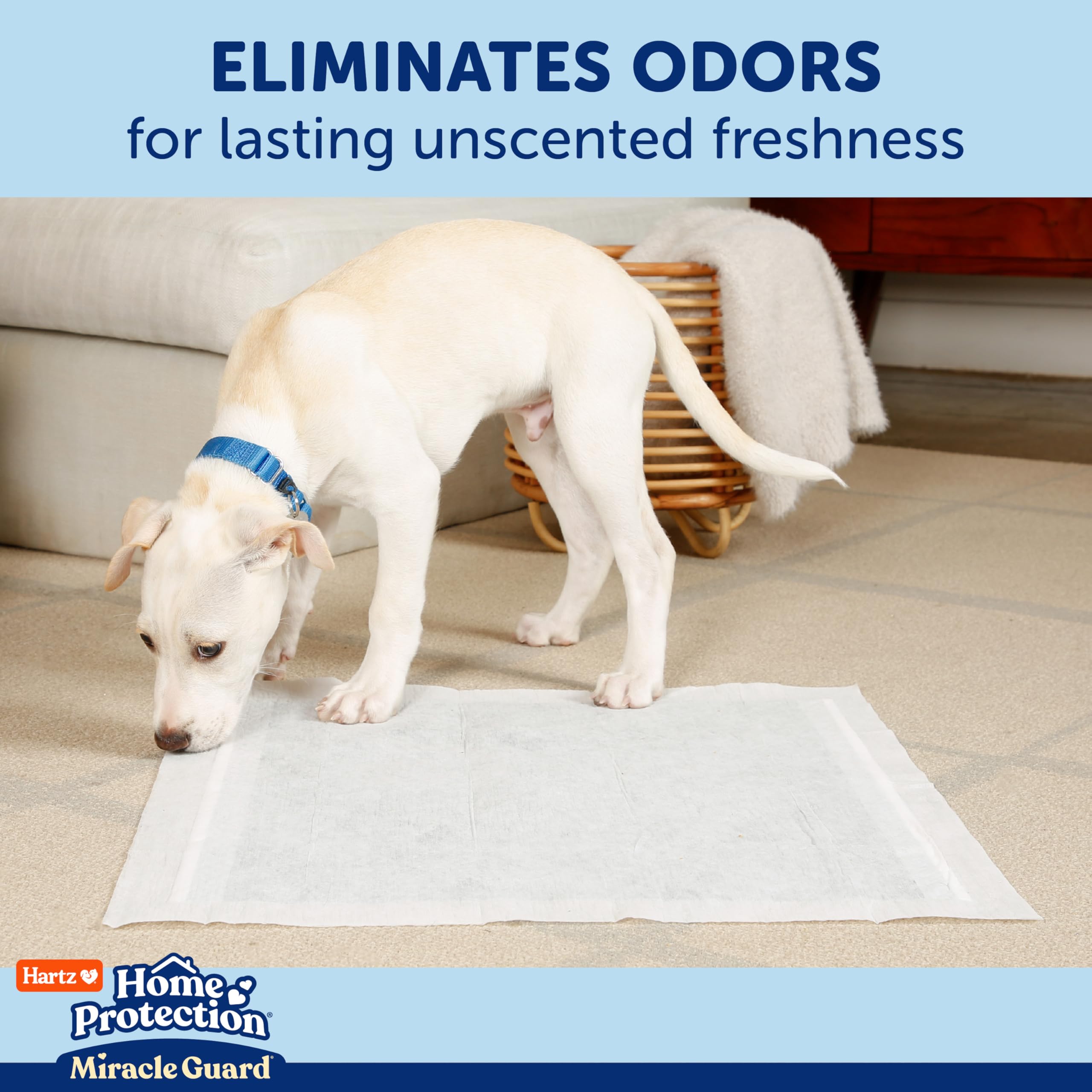 New! Hartz Home Protection Miracle Guard USA Made Dog Pads, Regular Size 50 Count, 3X Absorbency & 3X Longer use, Wont Leak and