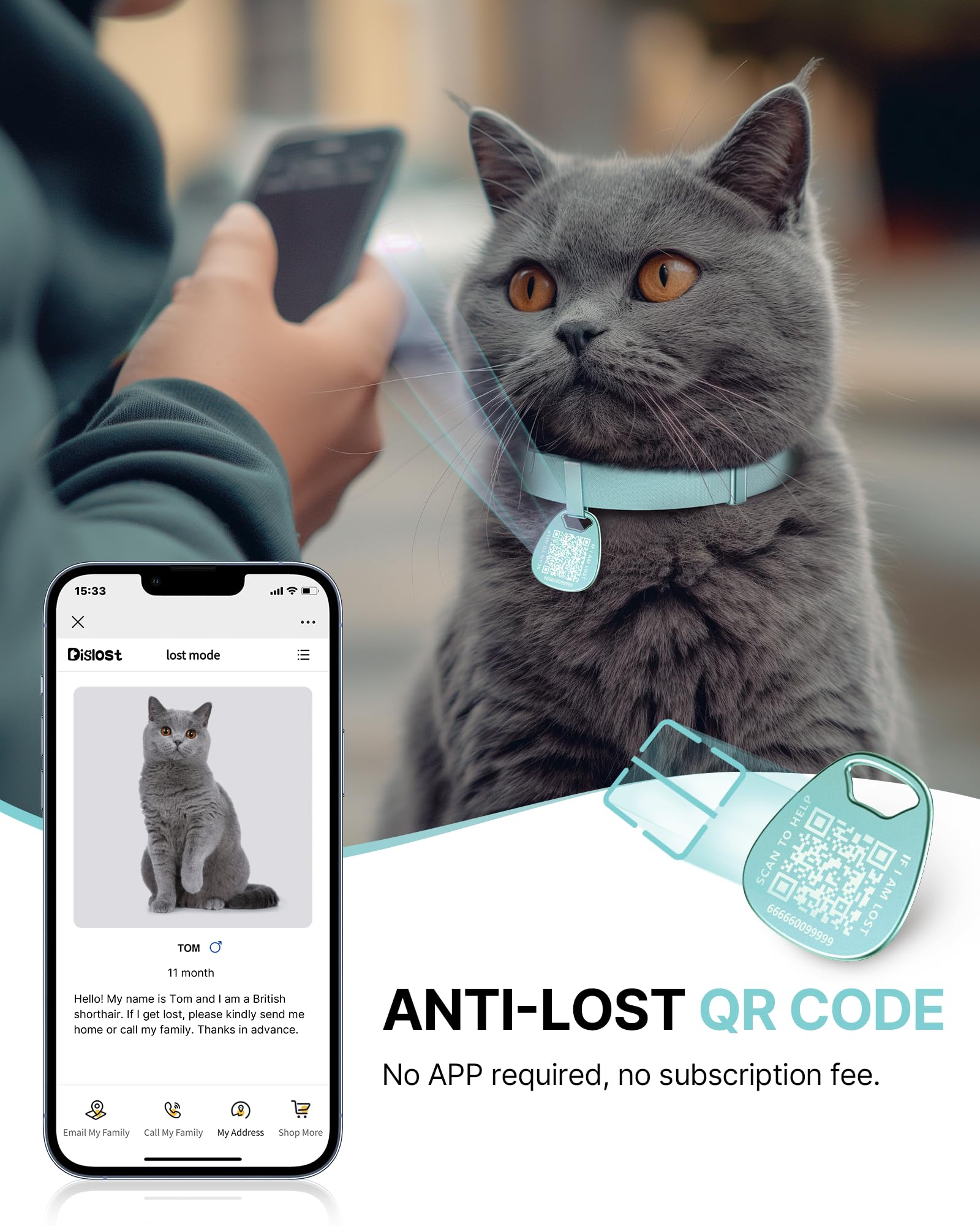 Cat Collar With Name Tag Breakaway: Reflective Kitten Collars With Qr Code Id Tag For Girl Boy Cats, Ultra Soft & Elastic Adjust