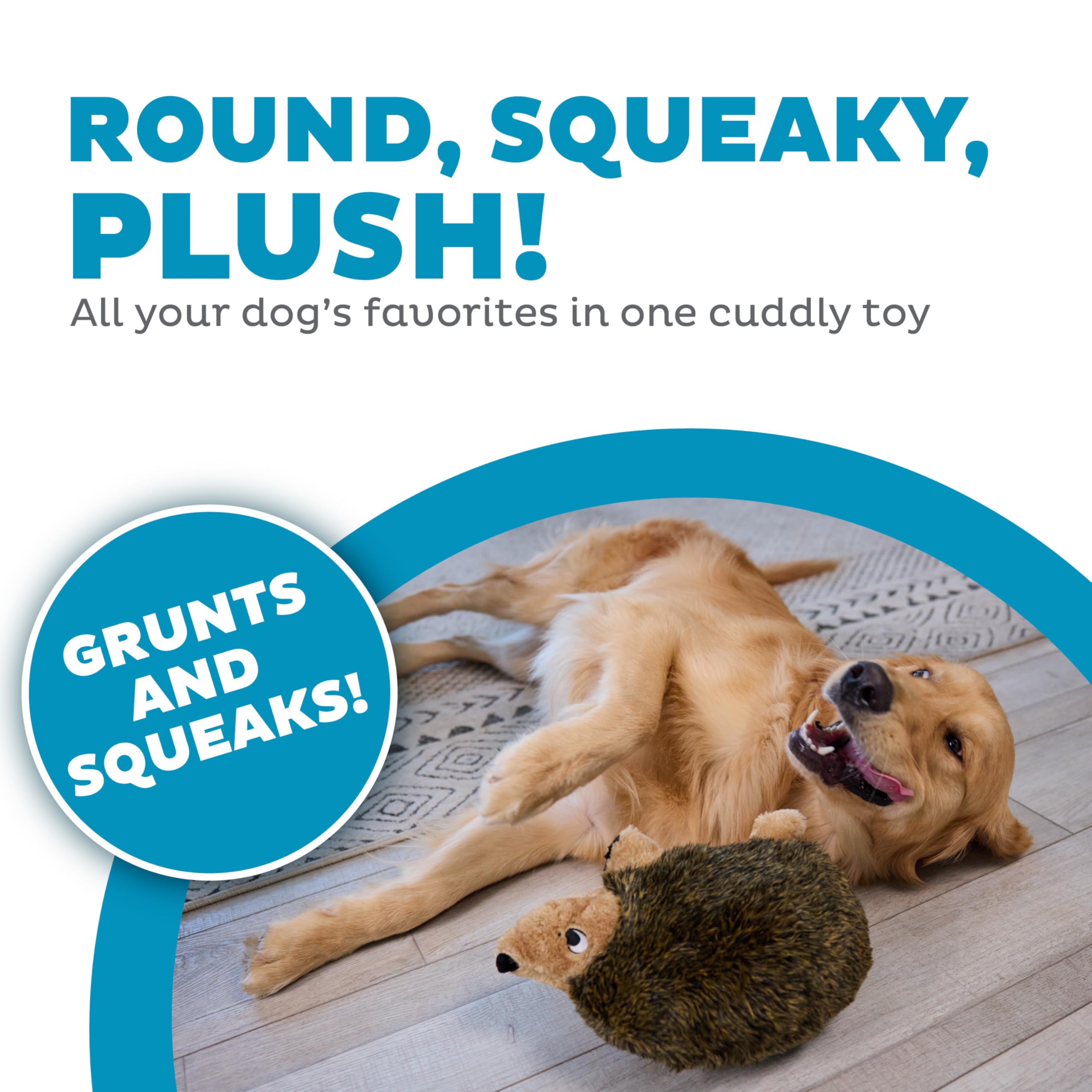 Outward Hound, Hedgehogz Plush Dog Toy, Large