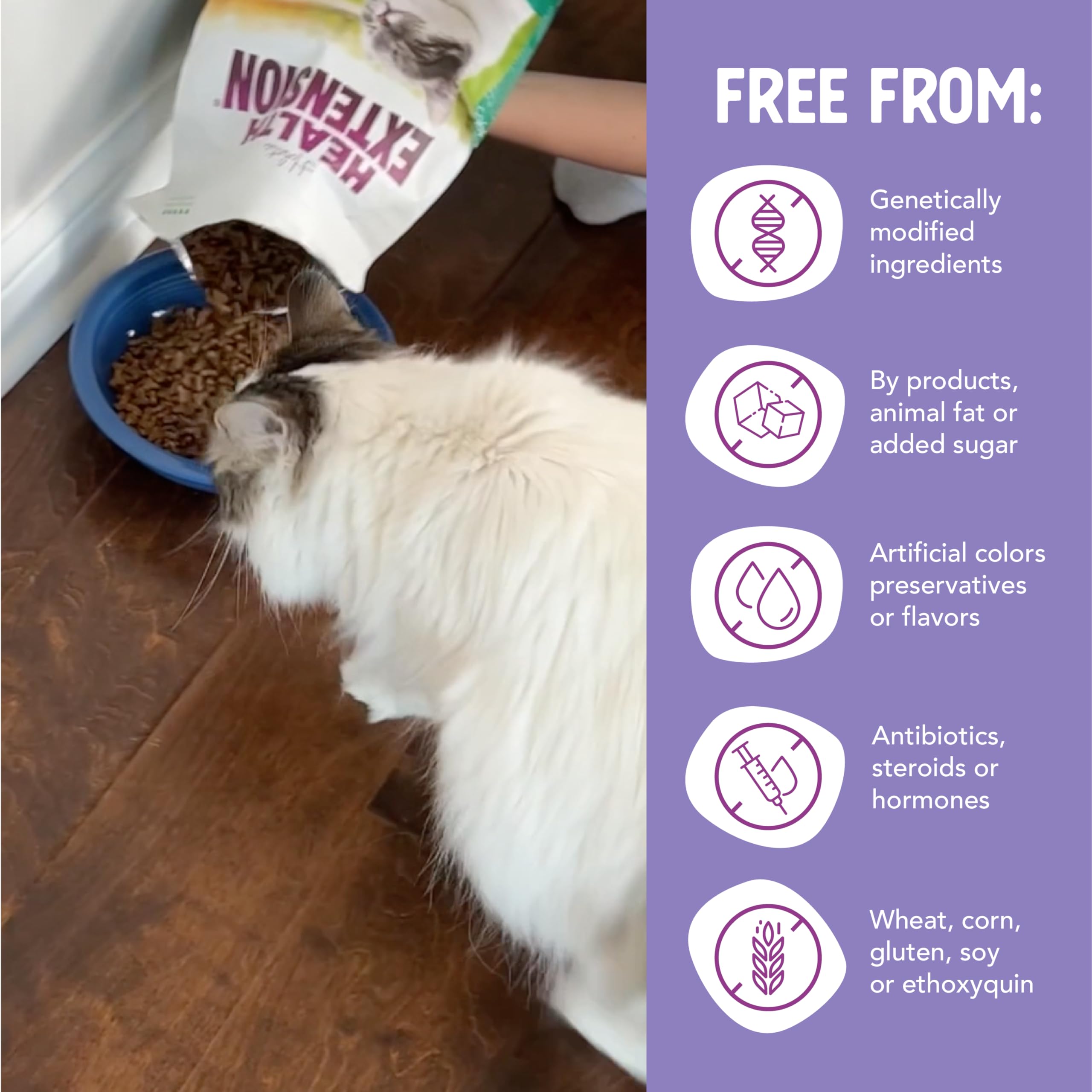 Health Extension Dry Cat Food, (4 lb / 1.81 kg) - Chicken & Brown Rice Recipe with Added Vitamins, Minerals, and Probiotics, Sui