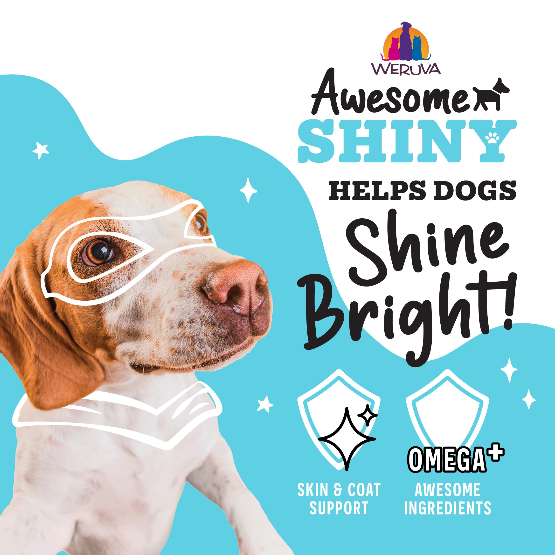 Weruva Awesome Shiny Wet Dog Food, Chicken & Brown Rice, 6oz Can (Pack of 8)