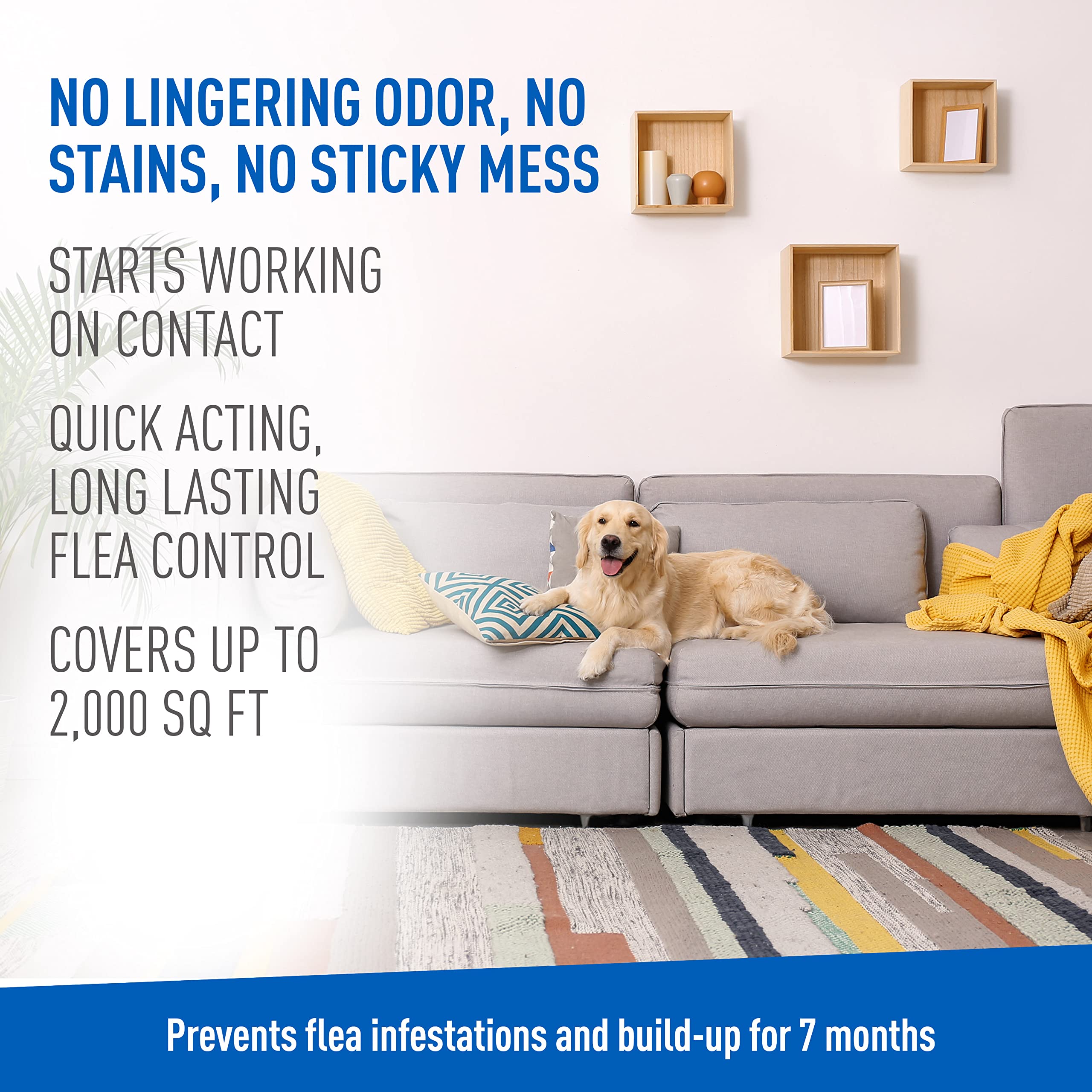 Adams Plus Flea & Tick Carpet Spray, Kills Fleas, Flea Eggs, Flea Larvae, Ticks, Ants, Roaches, Spiders, Waterbugs & Many Other