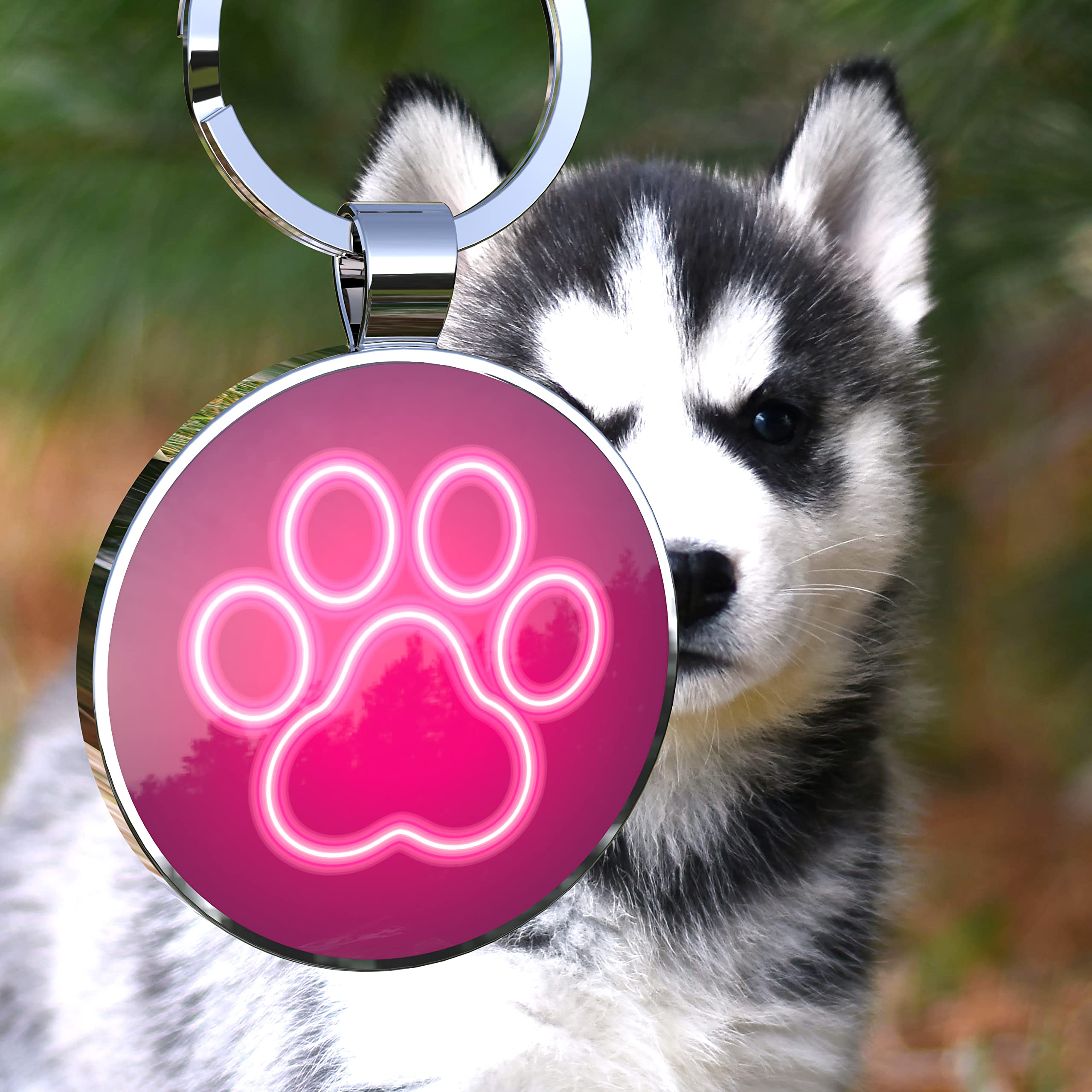 KEKID QR Code Dog Tag,Dog Tags Personalized for Pets, Custom Dog Name ID Tags Personalized Dog and Cat Tags -Free Online&Scan QR