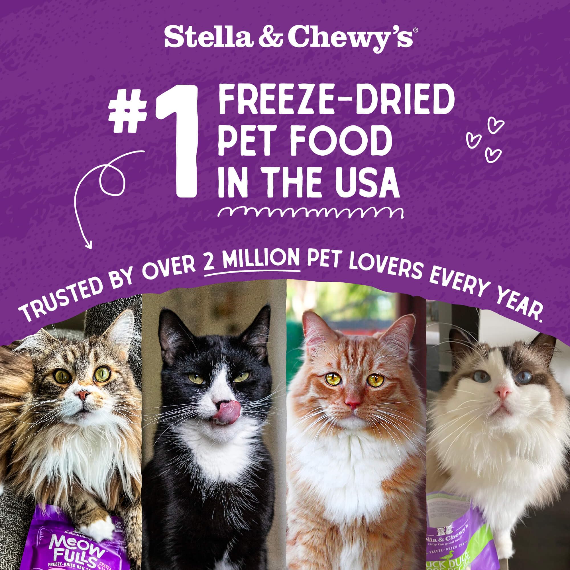 Stella & Chewys Freeze-Dried Raw Cat Dinner Morsels - Grain Free, Protein Rich Cat & Kitten Food - Sealicious Salmon & Cod Reci