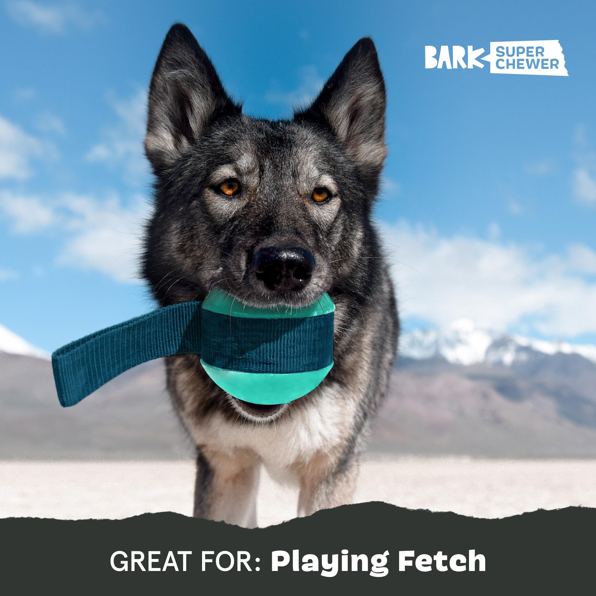 Barkbox Super Chewer Rope Dog Toy - Large, Rubber, Tailspin - Model 211072 for Aggressive Chewers