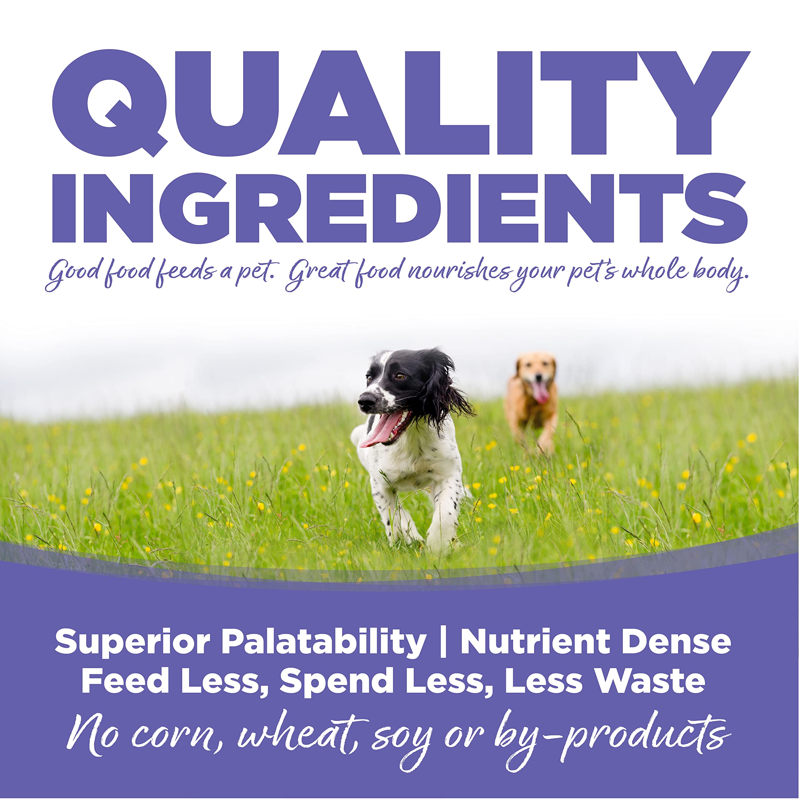 NutriSource Puppy Food, Made with Chicken Meal and Rice, Small Breed with Wholesome Grains, 15LB, Dry Dog Food