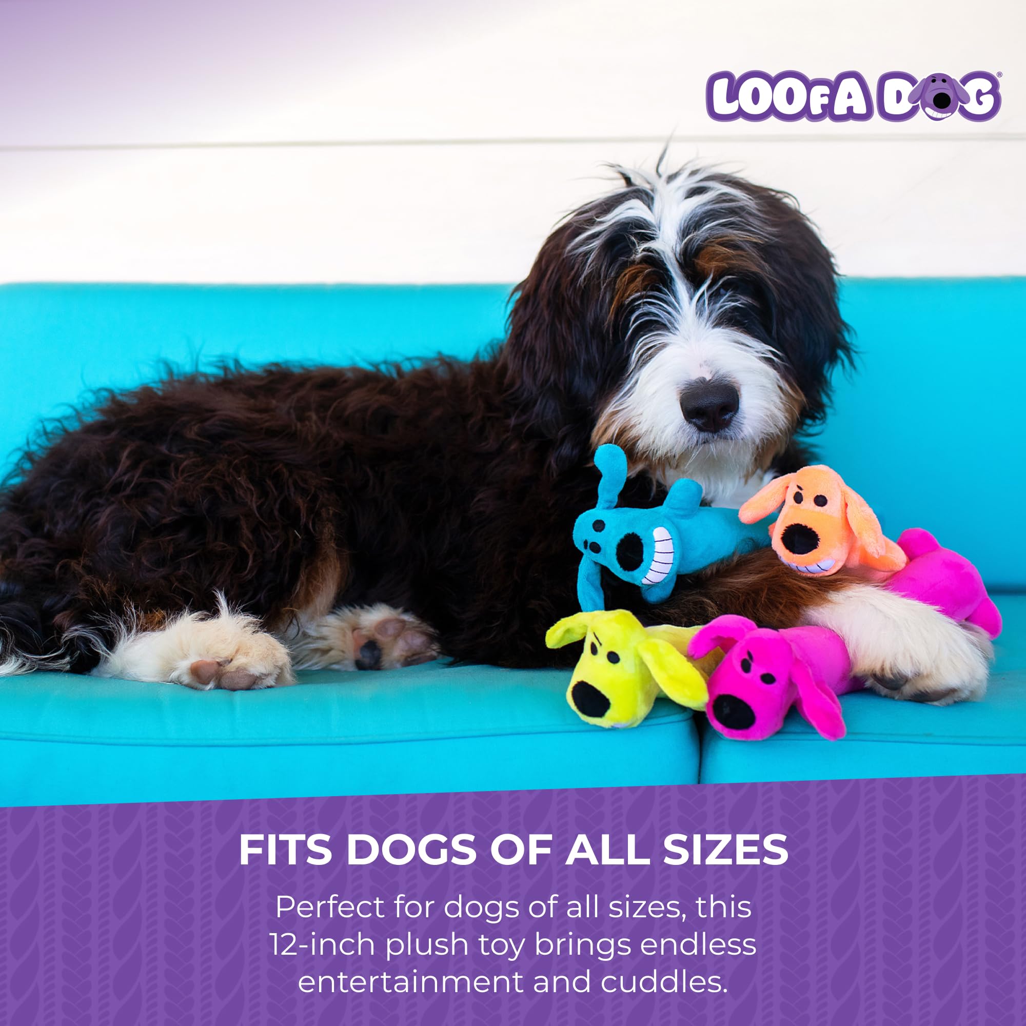 Multipet Original Loofa Dog Plush Toy - Squeaky Dog Toy for All Dogs - Extra Soft Plush Dog Toy - Stuffed Animal Dog Toy for Pla