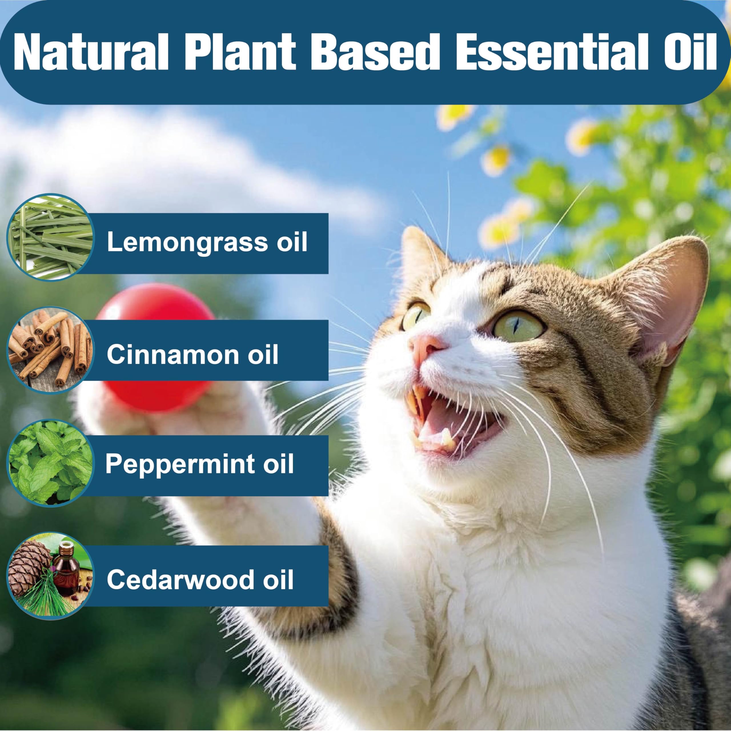 Advanllent Flea Collar for Cats, Natural Essential Oil, 2 Pack, 16 Months Protection, Waterproof, One Size Fits All