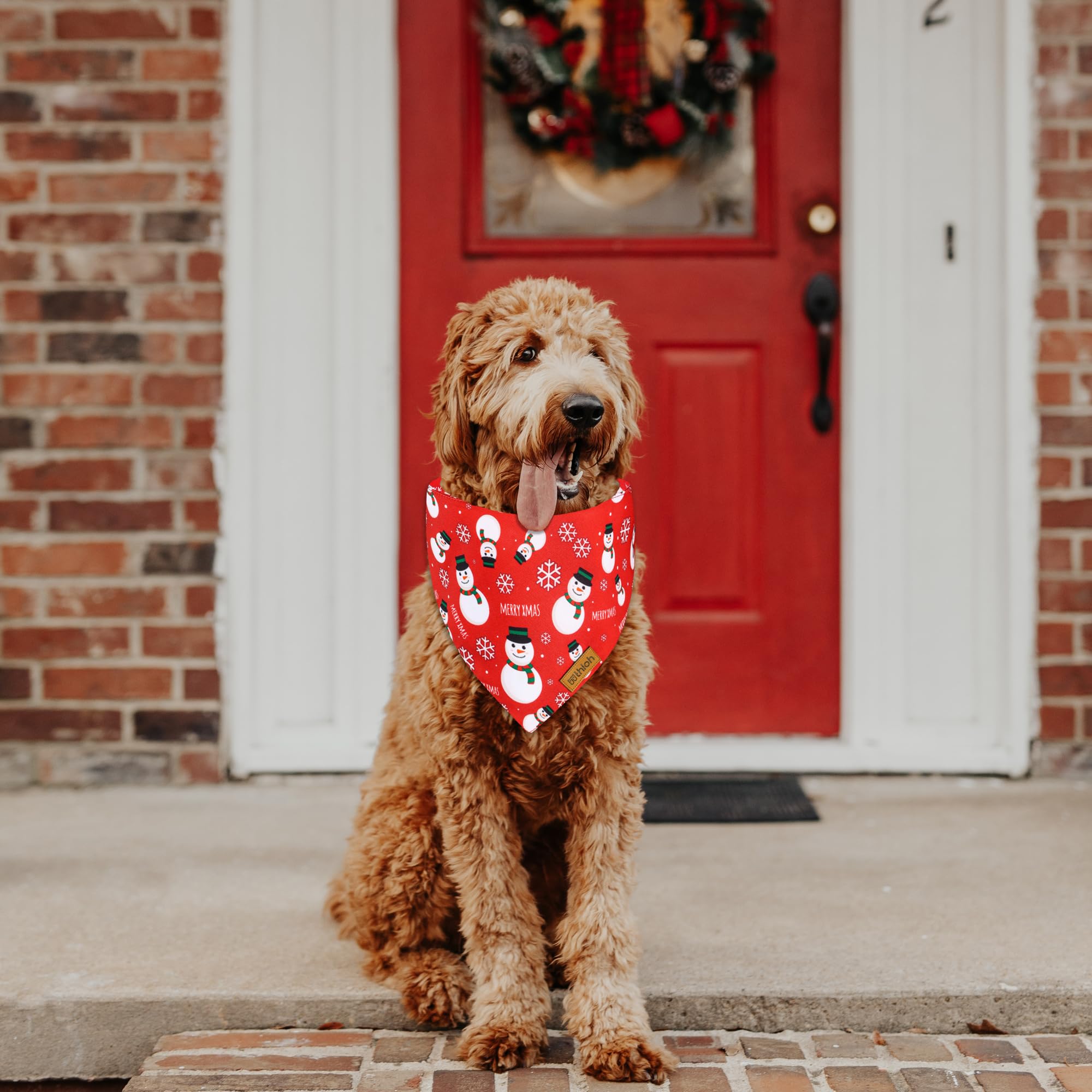 Thloh Christmas Dog Bandanas With Snap Button - 2 Pack Reversible Santa Claus Dog Scarf For Boy & Girl, Dog, Christmas Tree Holi