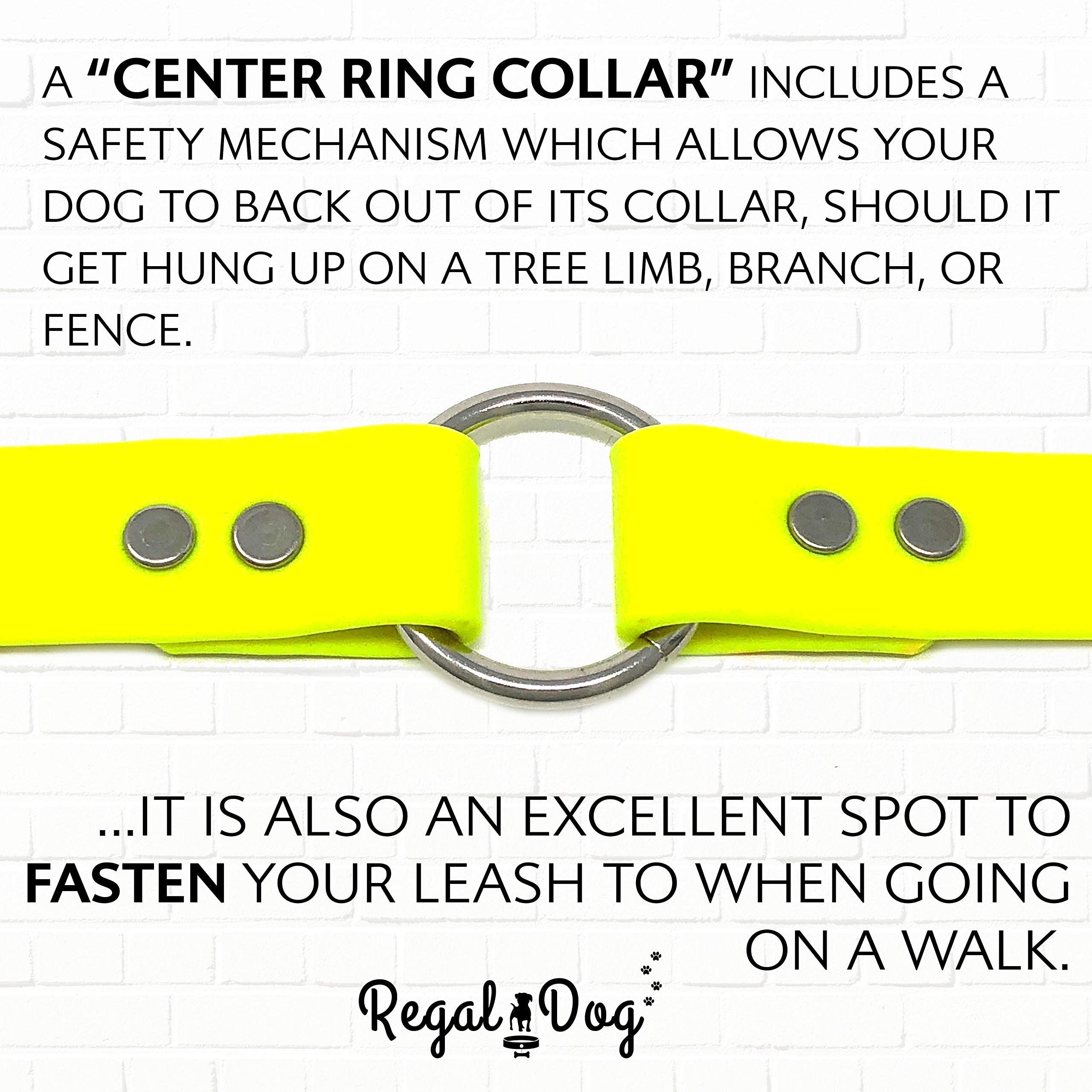 Regal Dog Products Large Yellow Dog Collar With Heavy Duty Double Buckle & D Ring | Vinyl Coated, Custom Fit, Adjustable Biothane Dog Collar | Chew Resistant Waterproof Center-Ring Collar For Dogs