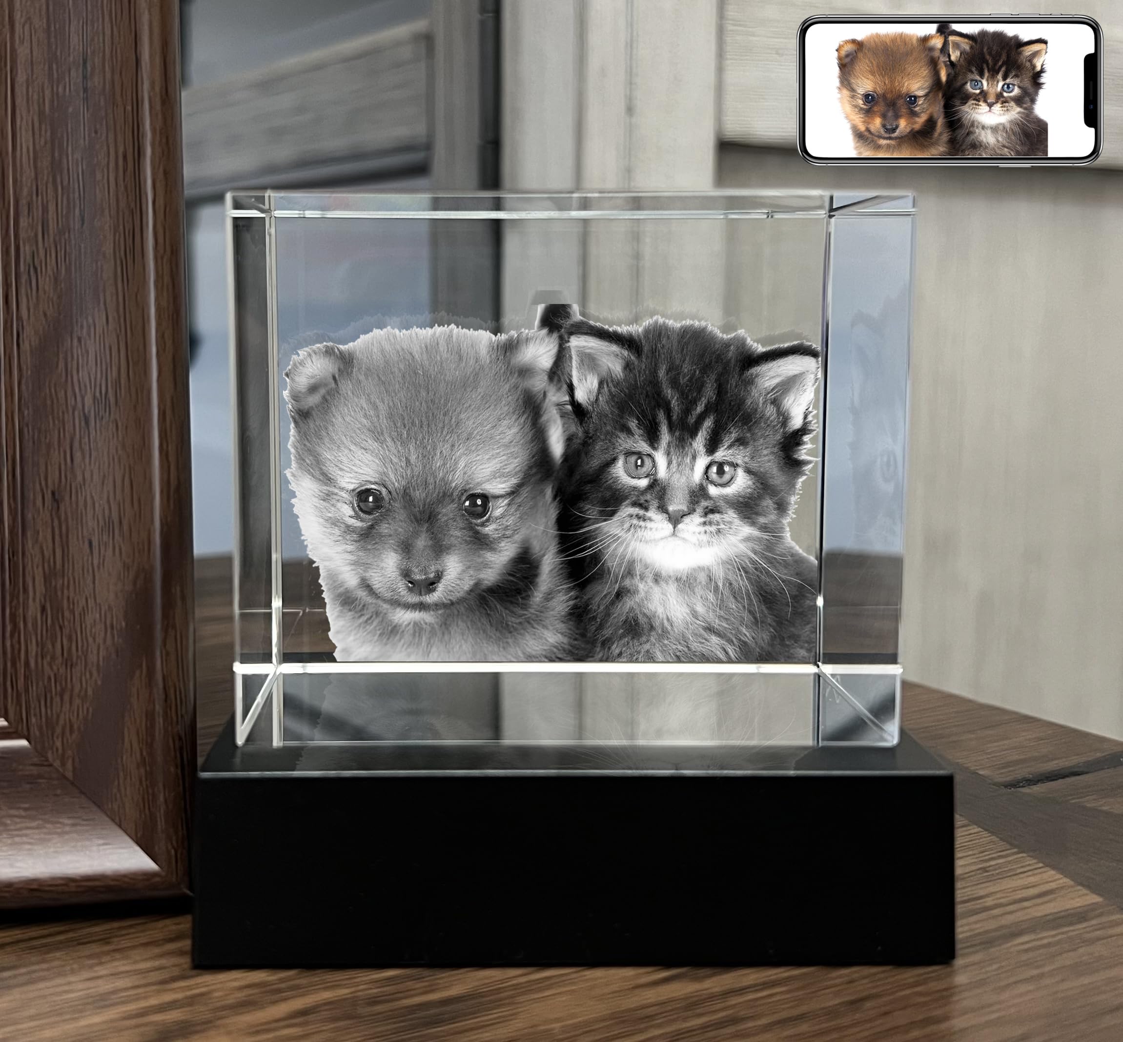 Pd 3Dpixdance Personalized Dog, Cat Memorial Gifts For Pet Owners. Gift Box Included, Customized Laser Etched Crystal Photo (Med