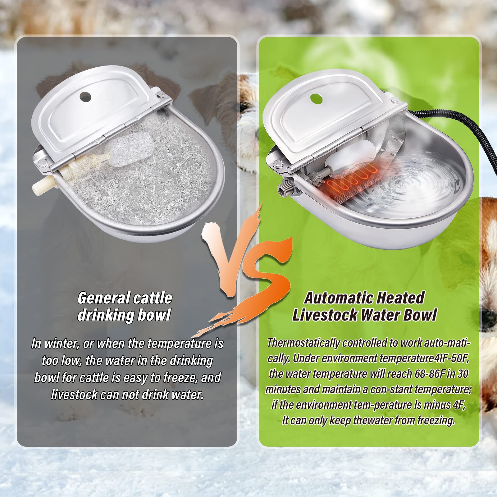 MINYULUA Stainless Steel Heated Dog Water Bowl - 10.6" x 10" - Outdoor Thermal Dispenser for Pets, Livestock, Silver