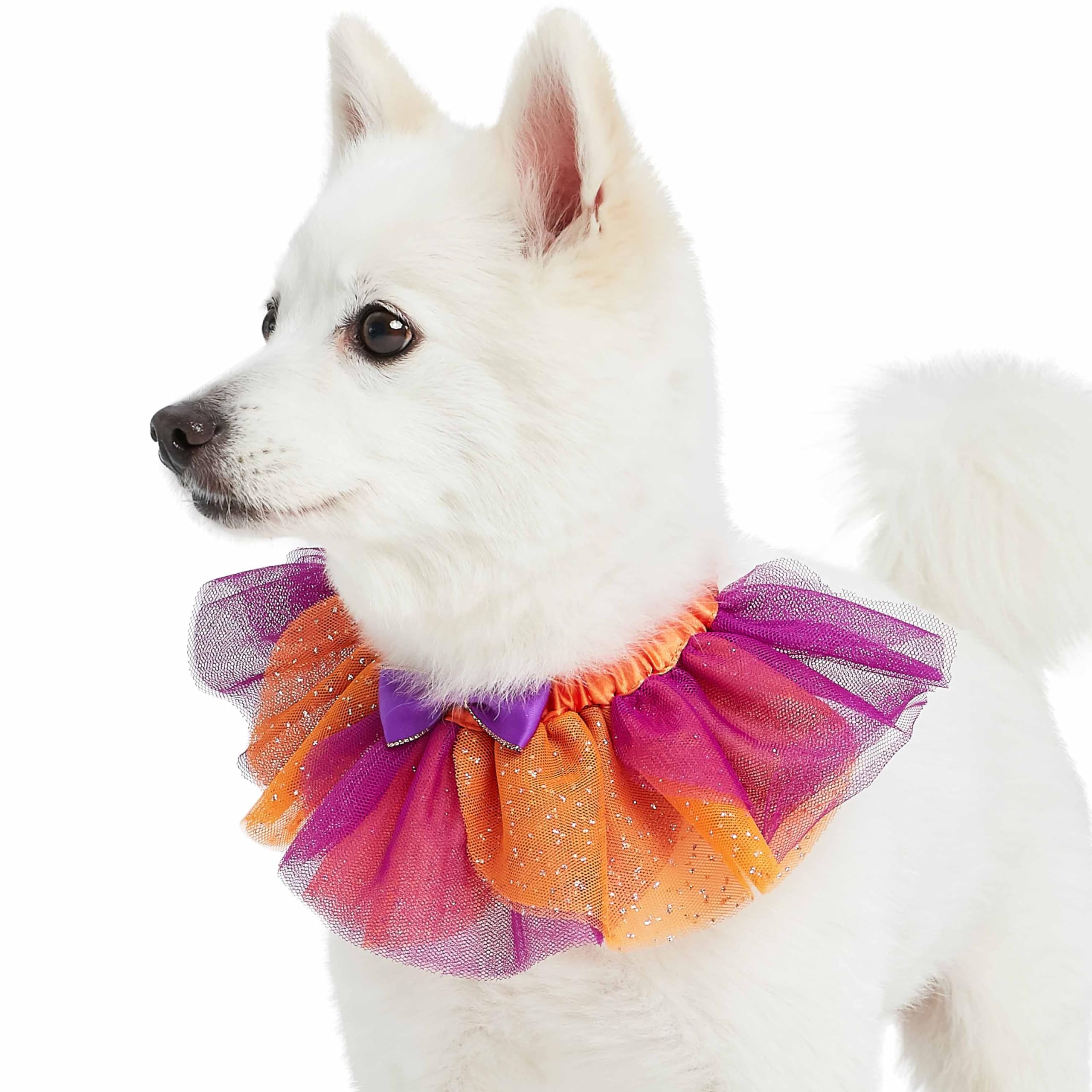 Blueberry Pet Halloween Party Adjustable Breakaway Costume Dog Collar In Warm Tone, Small