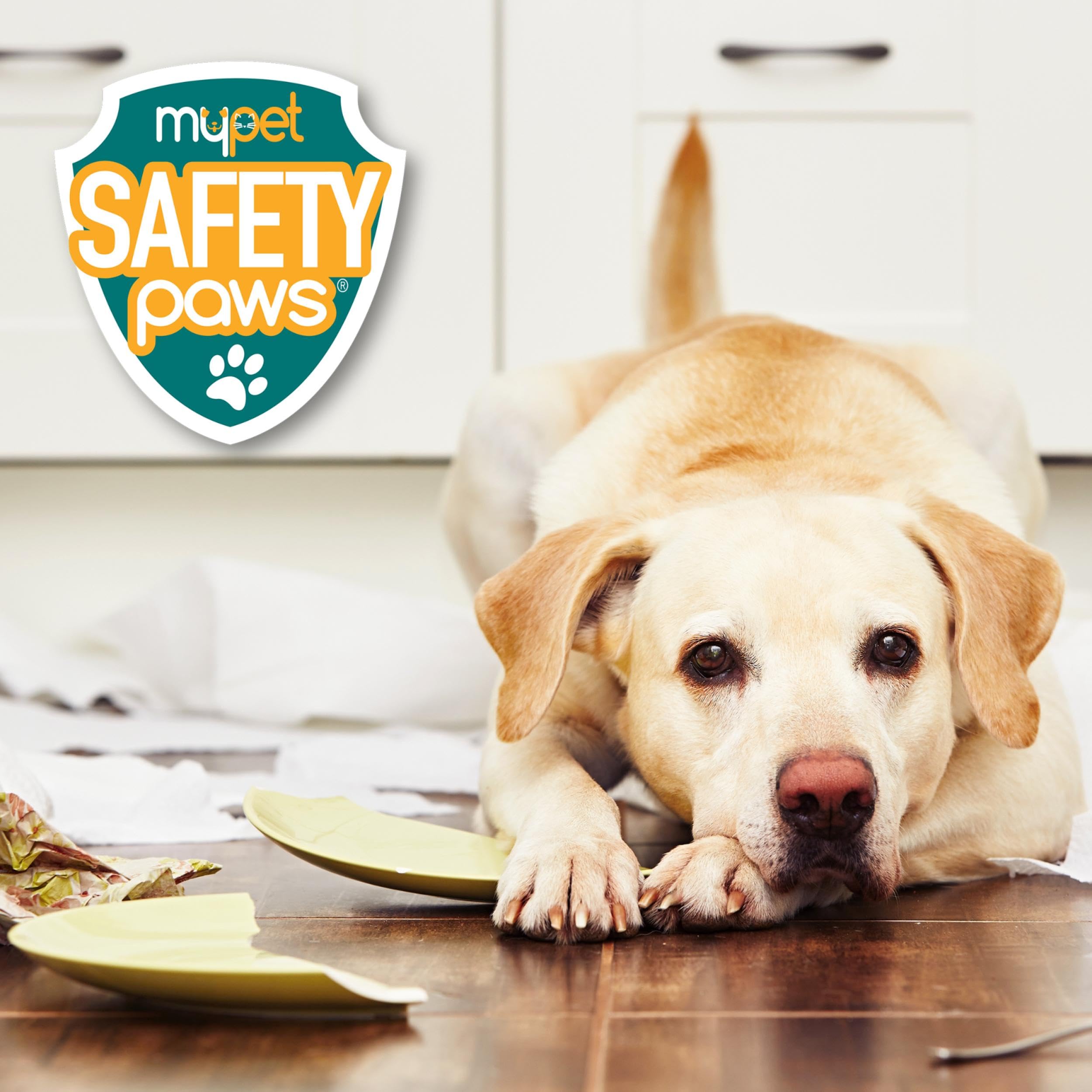 North States Mypet Safety Paws Door Paw-Tector | Works On Swinging And Pocket Doors (1-Pack, Gray)