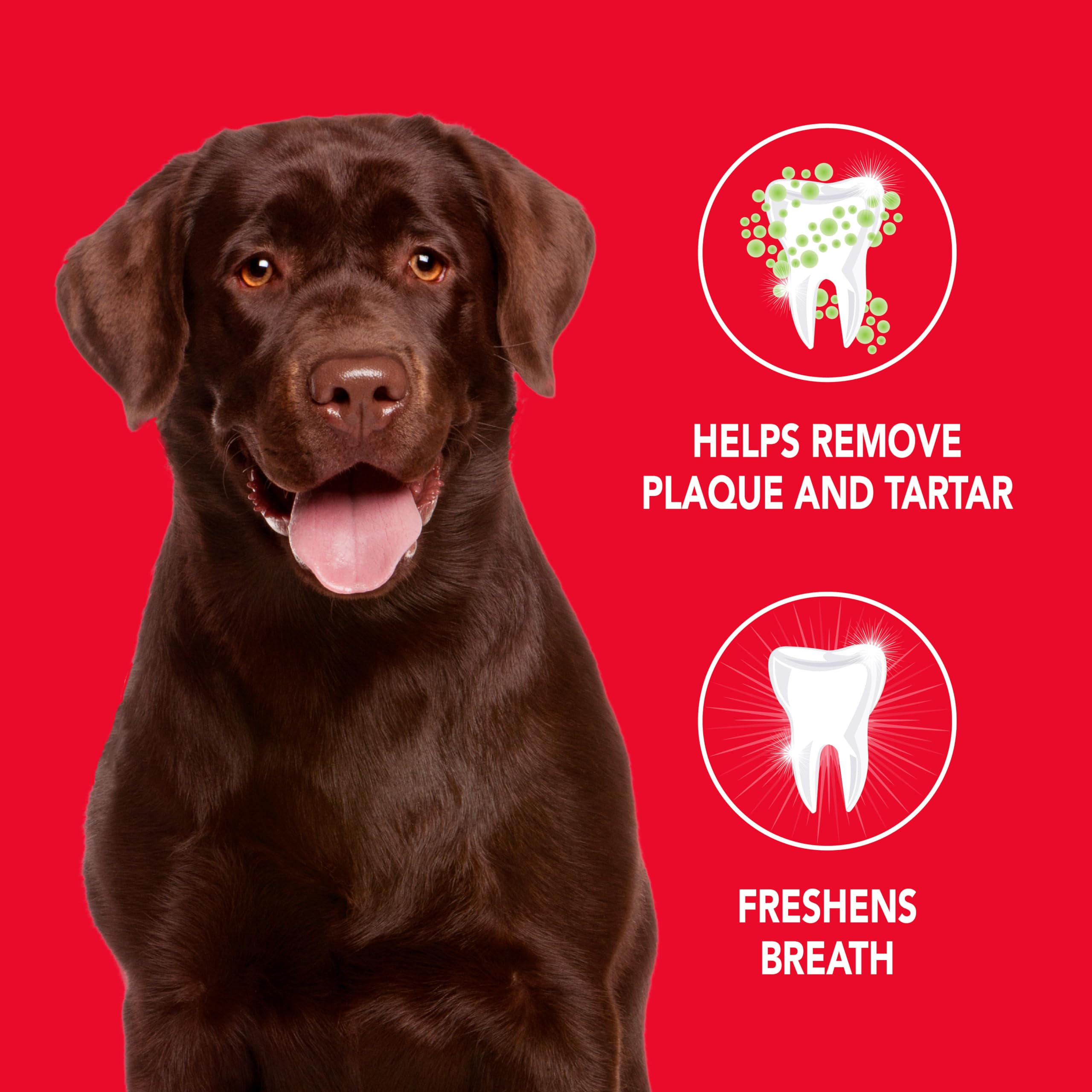 Petrodex Toothpaste for Dogs and Puppies, Cleans Teeth and Fights Bad Breath, Reduces Plaque and Tartar Formation, Enzymatic Too