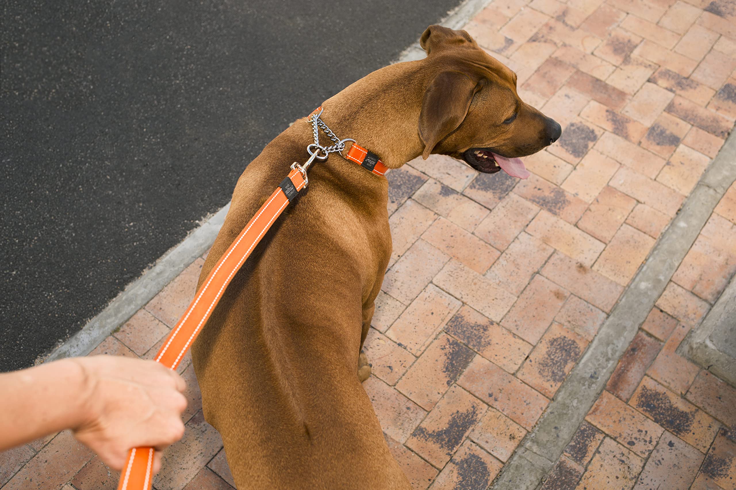 Reflective Nylon Choke Collar; Slip Show Obedience Training Gentle Choker For Extra Large Dogs, Red