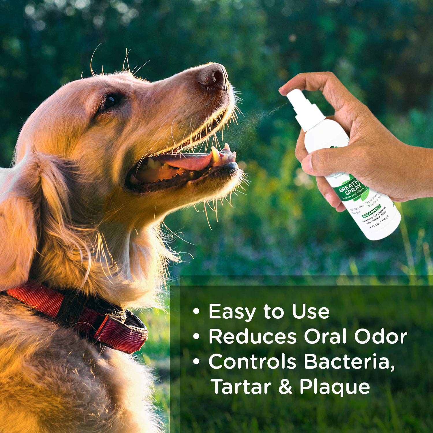 Lillian Ruff Dog Breath Freshener Dental Care Spray - Dog Oral Health Teeth Cleaning Formula Targets Bad Dog Breath, Plaque & Ta