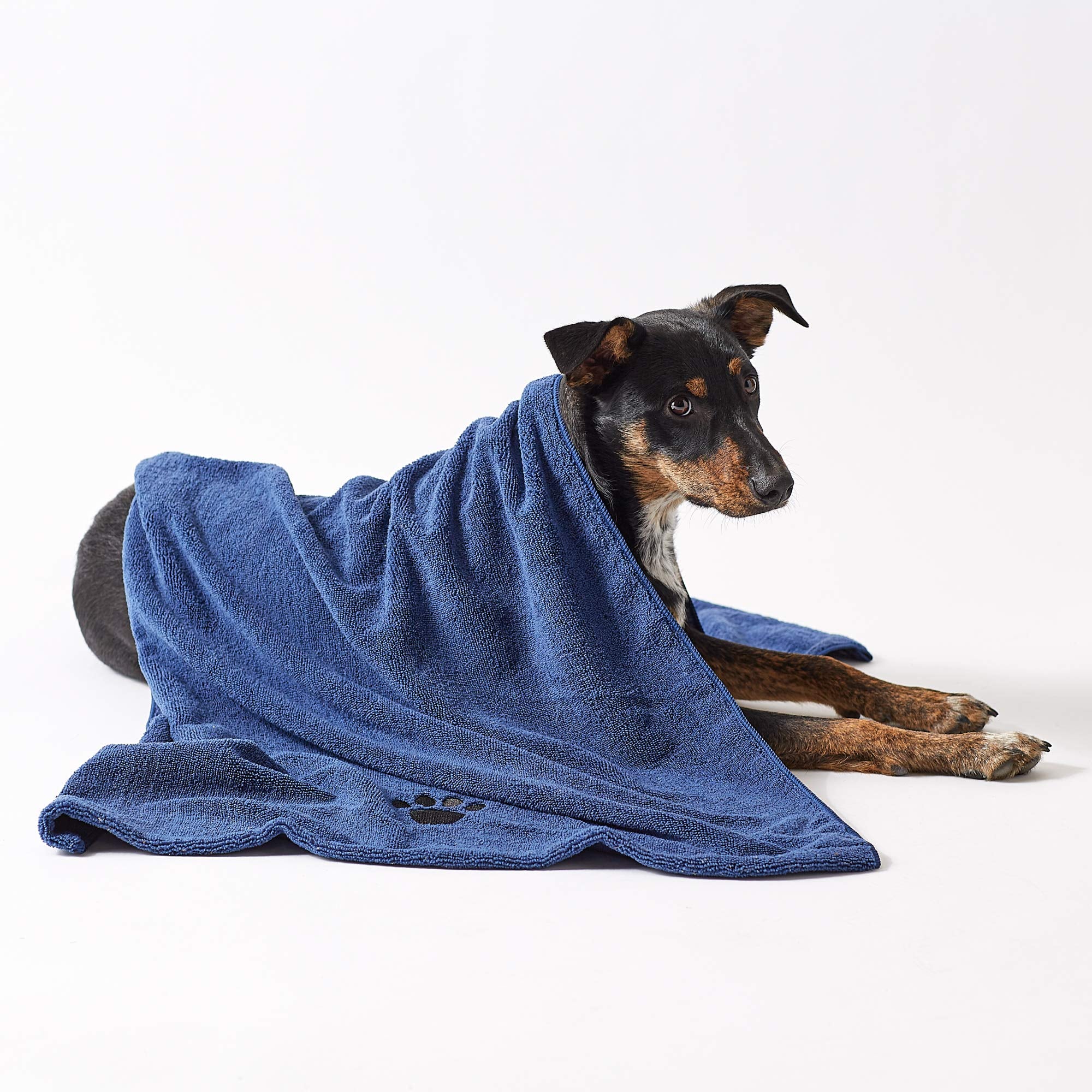 Bone Dry Navy Embroidered Paw Pet Towel