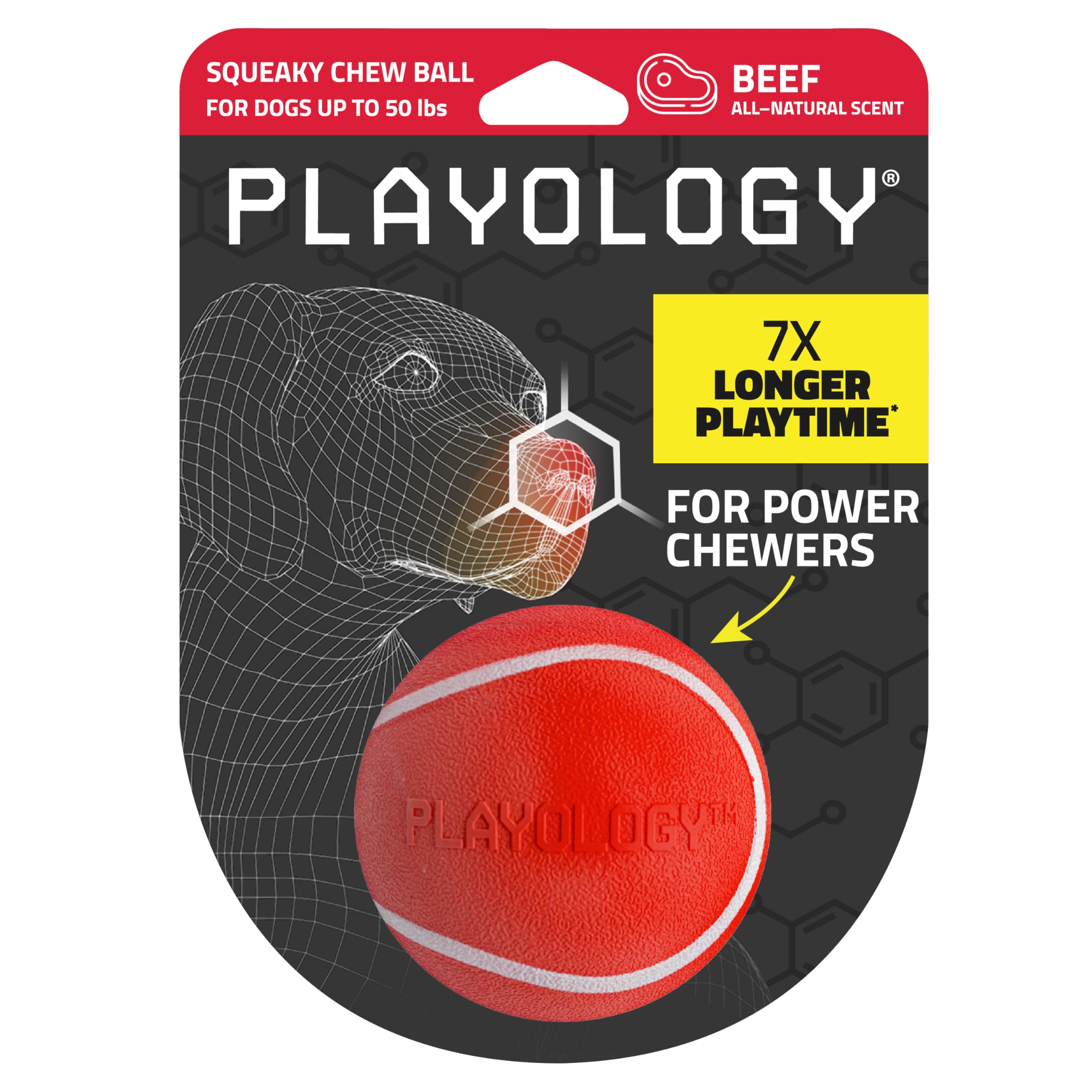 Playology Squeaky Chew Ball for Dogs | Engaging All-Natural Beef Scented Dog Toy for Medium Dogs up to 50lbs | Squeak, Fetch, an